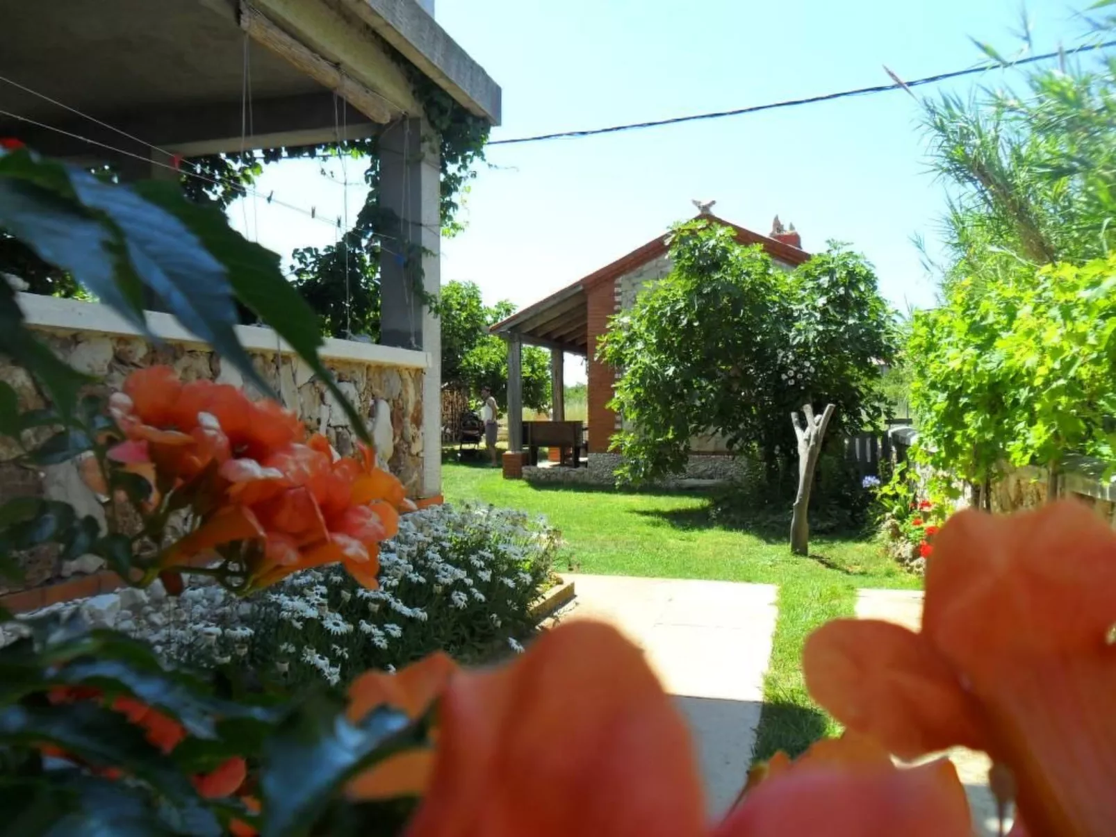 Wohnung Delfin mit Meerblick - TA Leut Agency-Buiten