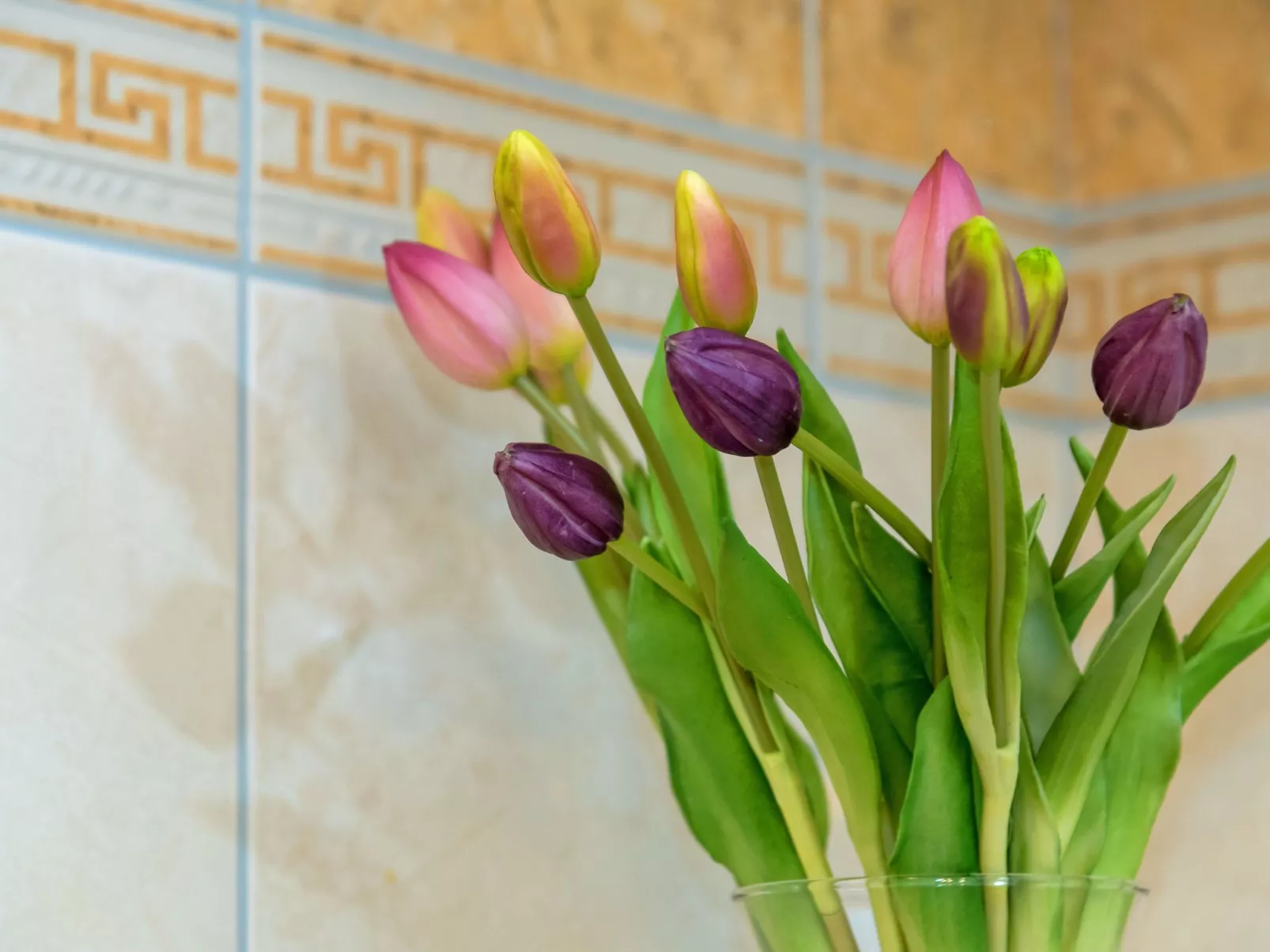 Villa Aquarius-Binnen