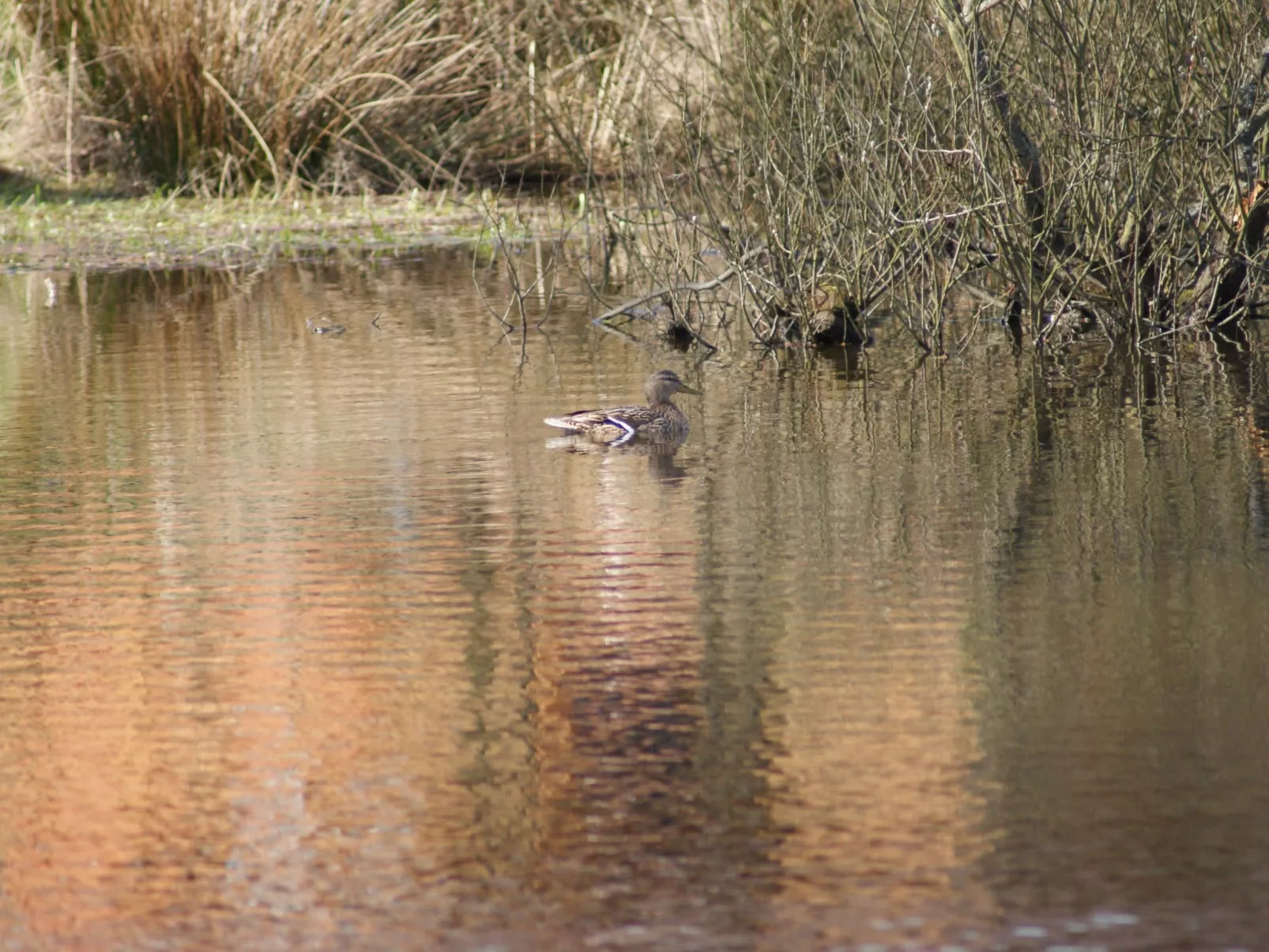 Ruhe am Meer - Ferienhäuser in den Gärten von Magra-Buiten