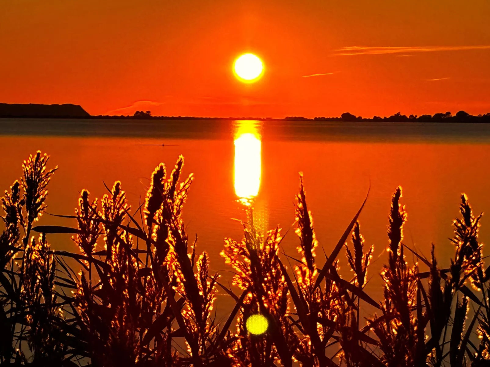 Reethaus Vera am Meer mit Sauna und Kamin-Buiten