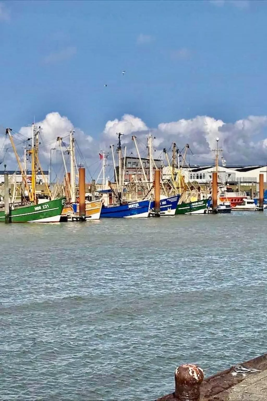 In Hage mit Garten, Terrasse und Grill-Buiten