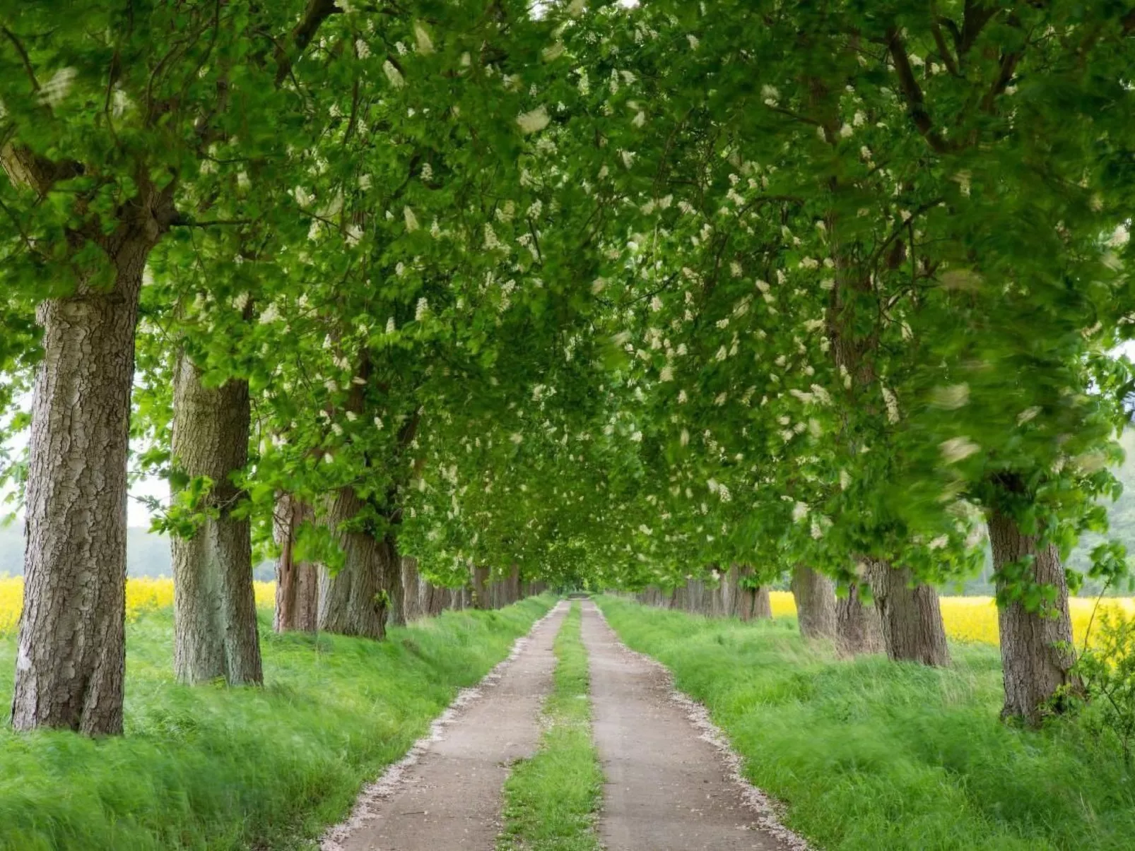 Uferpromenade-Buiten