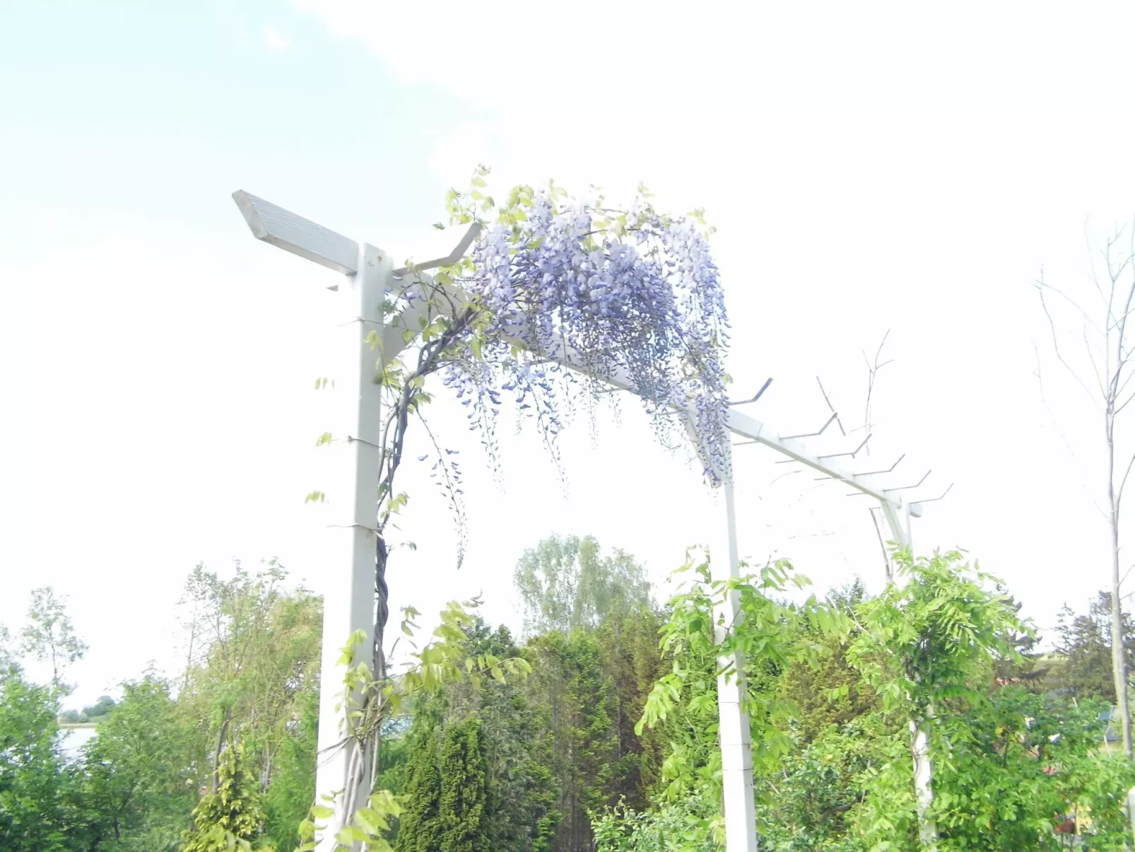 Am malerischen Nepperminer See-Image-tags.info