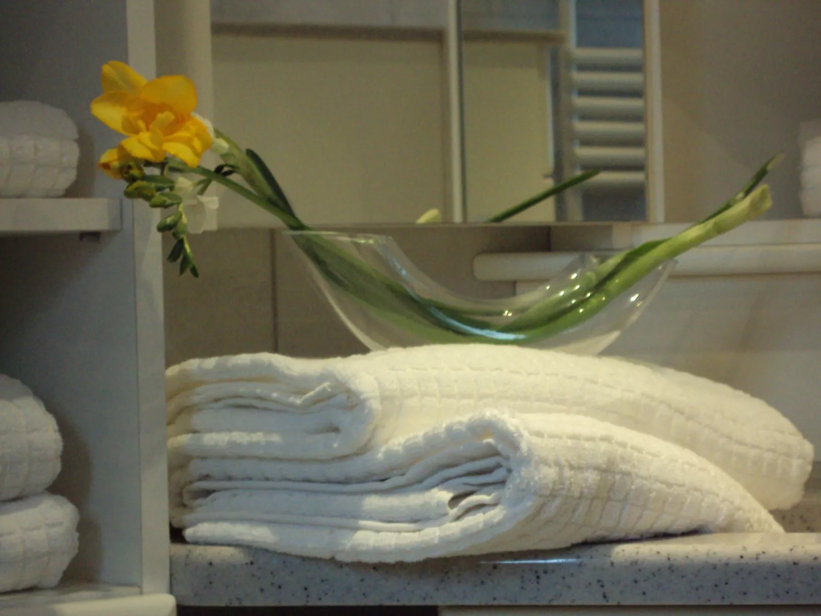 Haus der Natur-Binnen