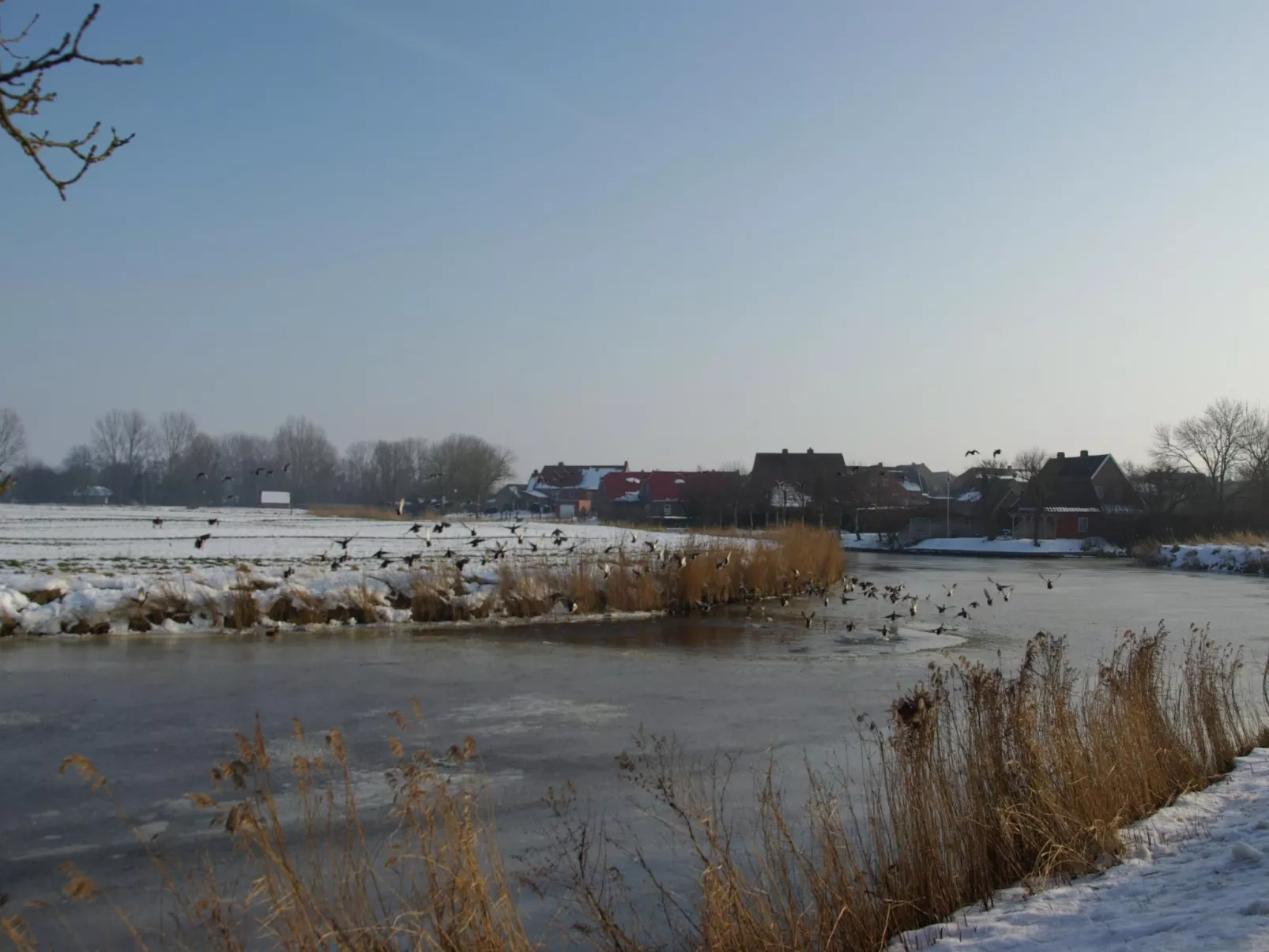 Lara's Olle Warft-Buiten