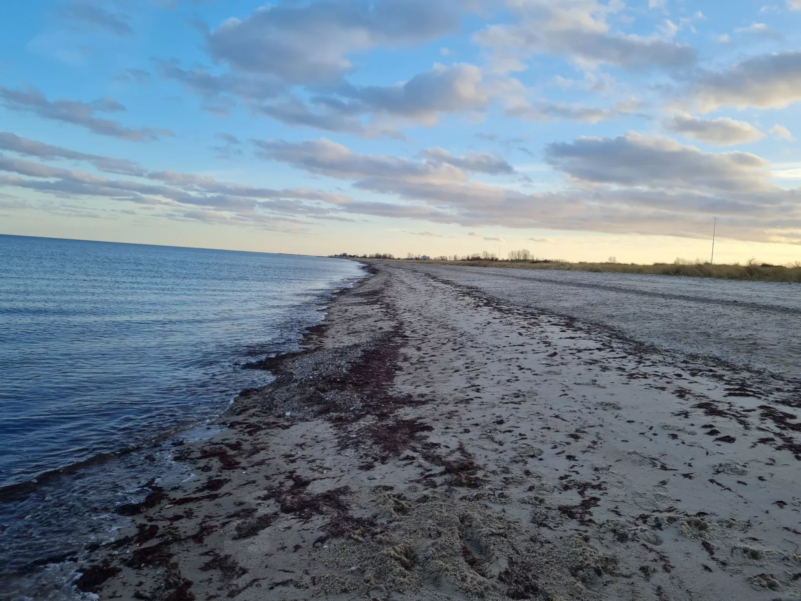 Camp  de Mar - Buiten