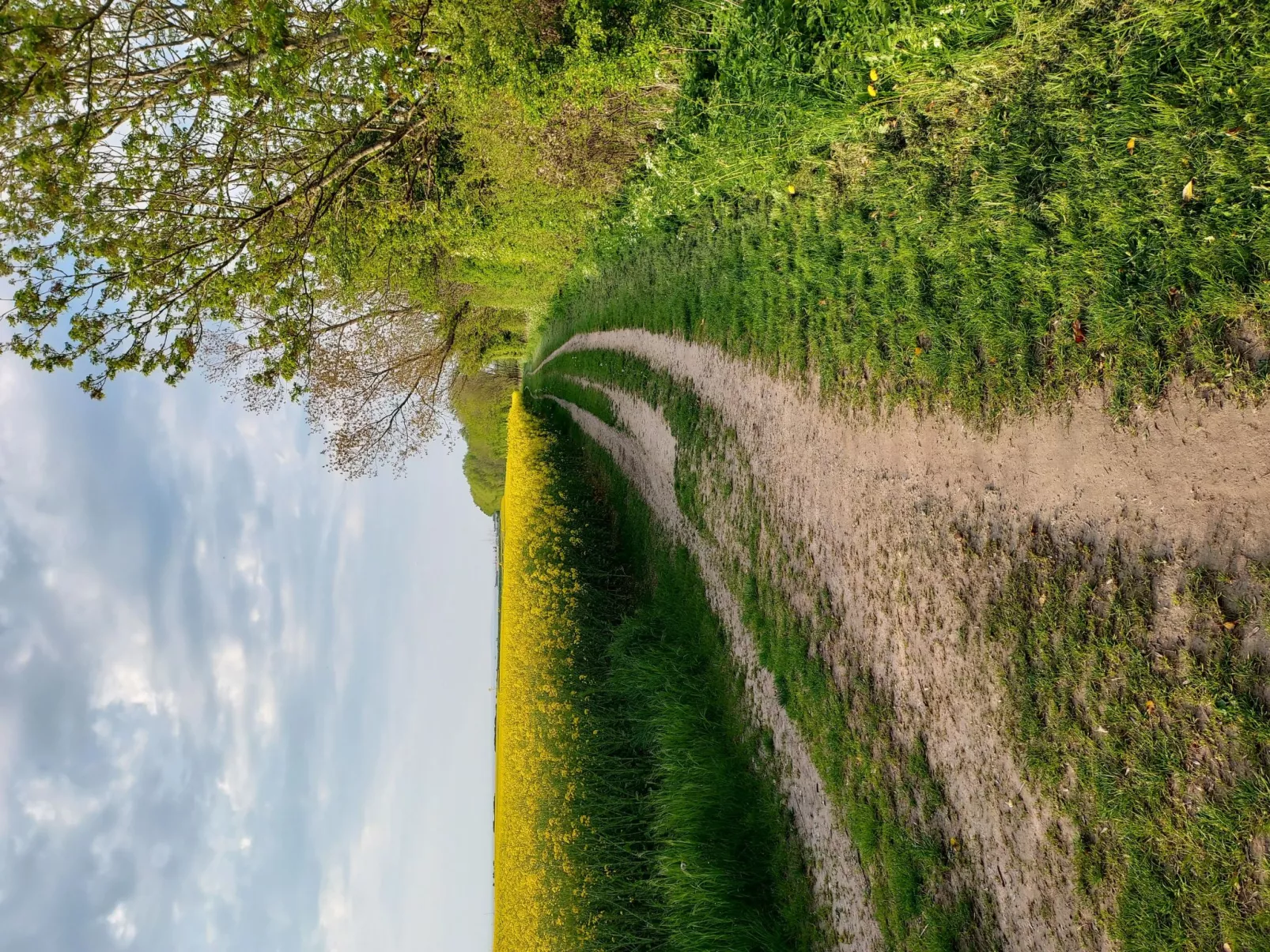 Das Meerchenhaus-Buiten