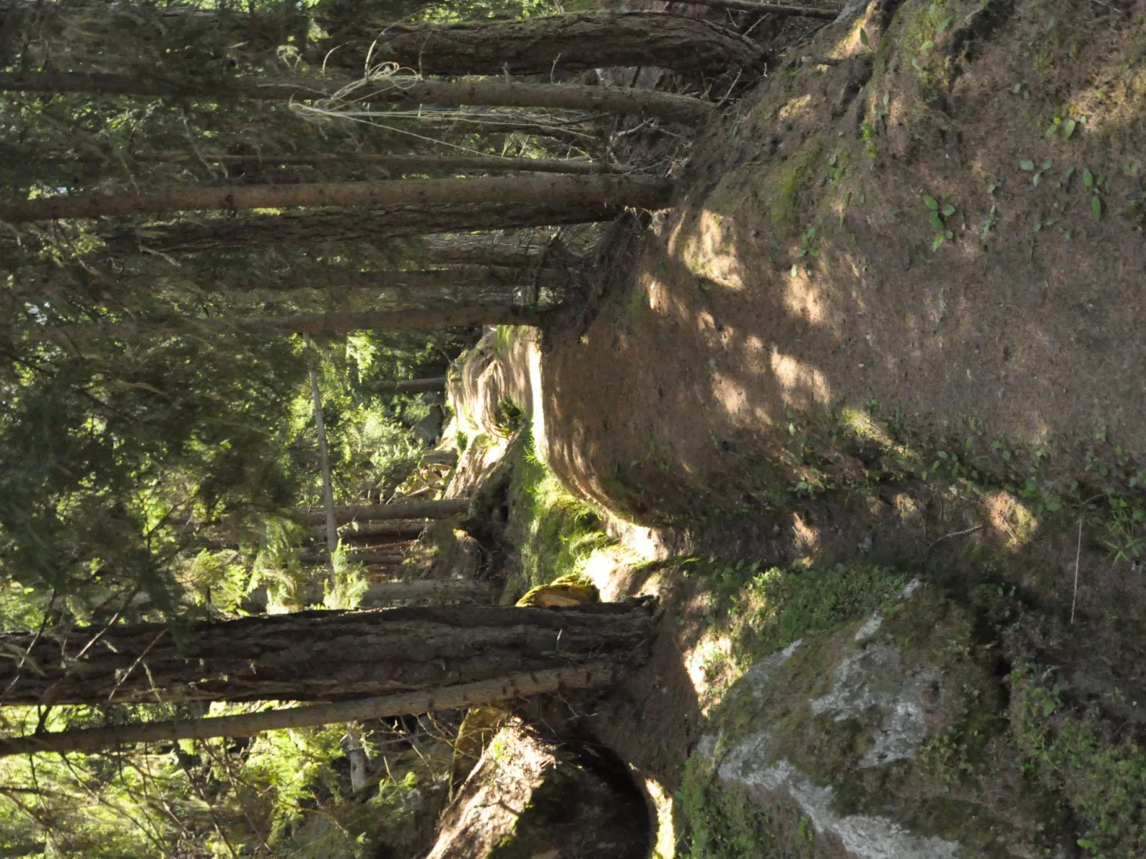 Helena-Image-tags.info