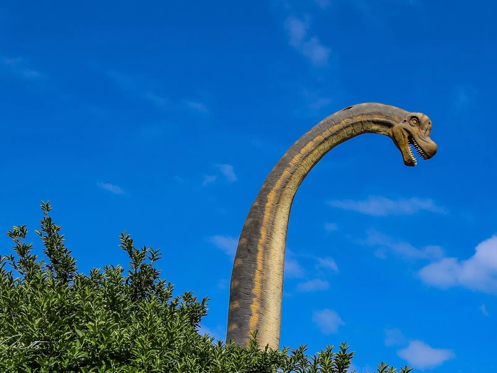 Villa Linet 5.-Buiten