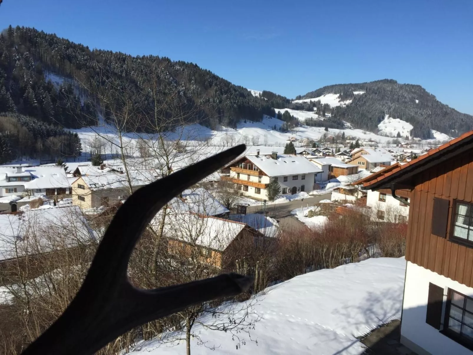 Alpkönig - Image-tags.info