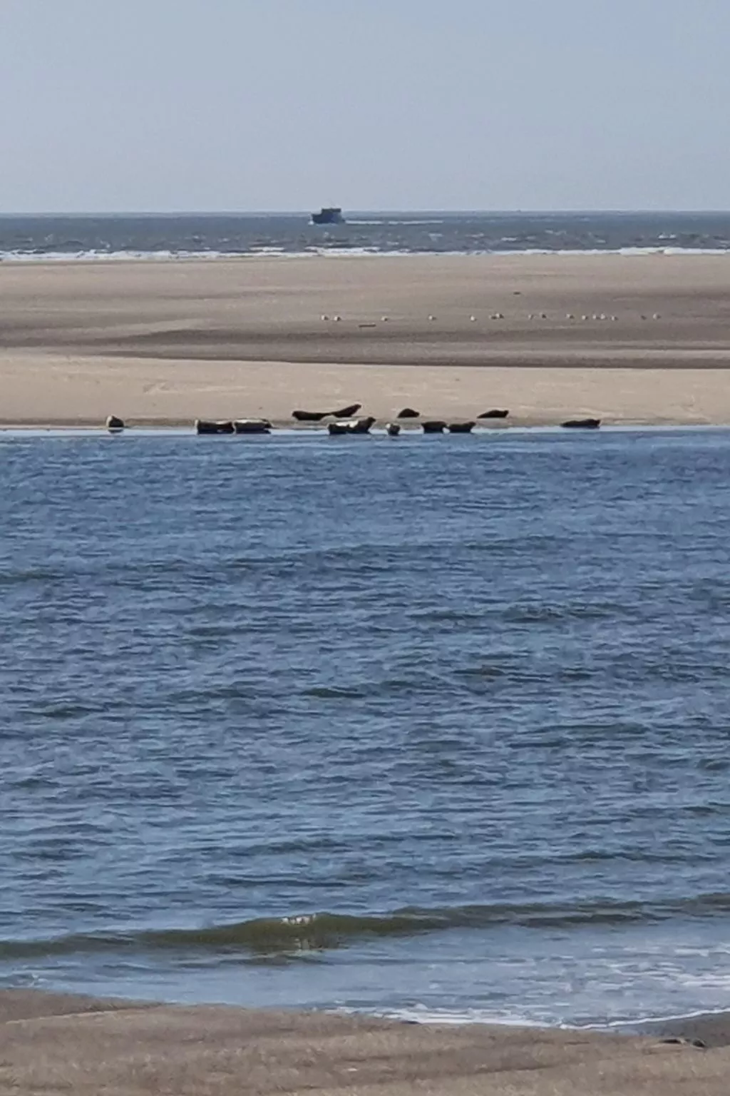 Apartment mit Terrasse am Südstrand-Buiten