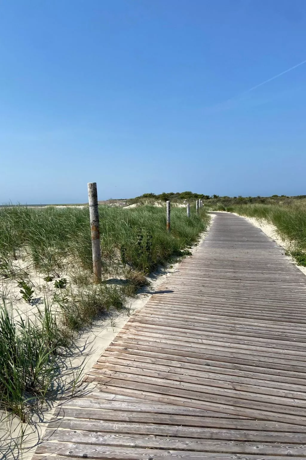 Süddünenidylle-Buiten