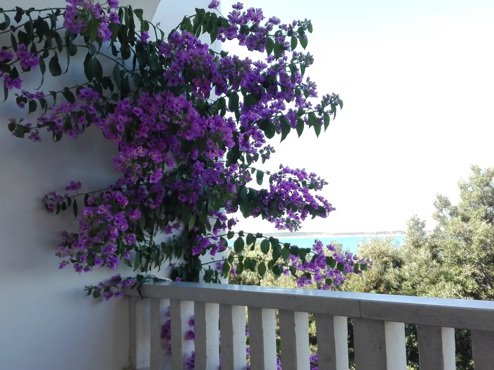 "Mia" mit Blick auf das Wasser-Buiten