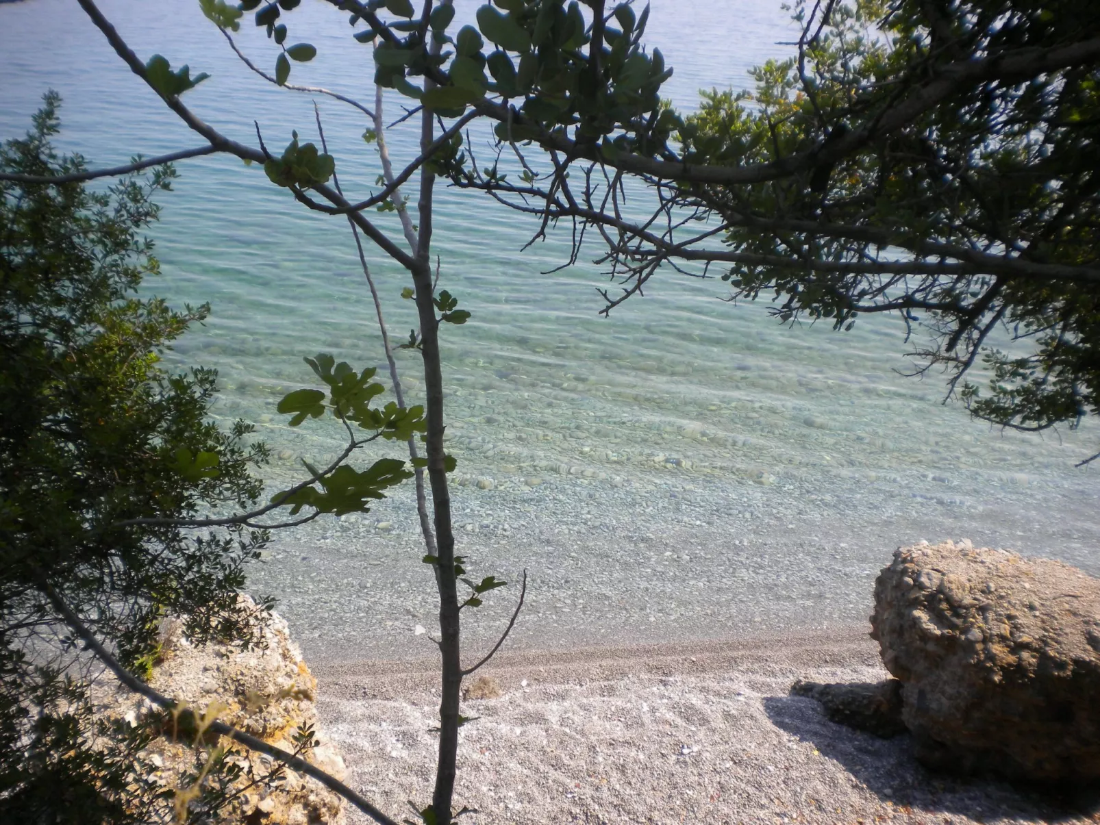 1249147 (copy)-Image-tags.info