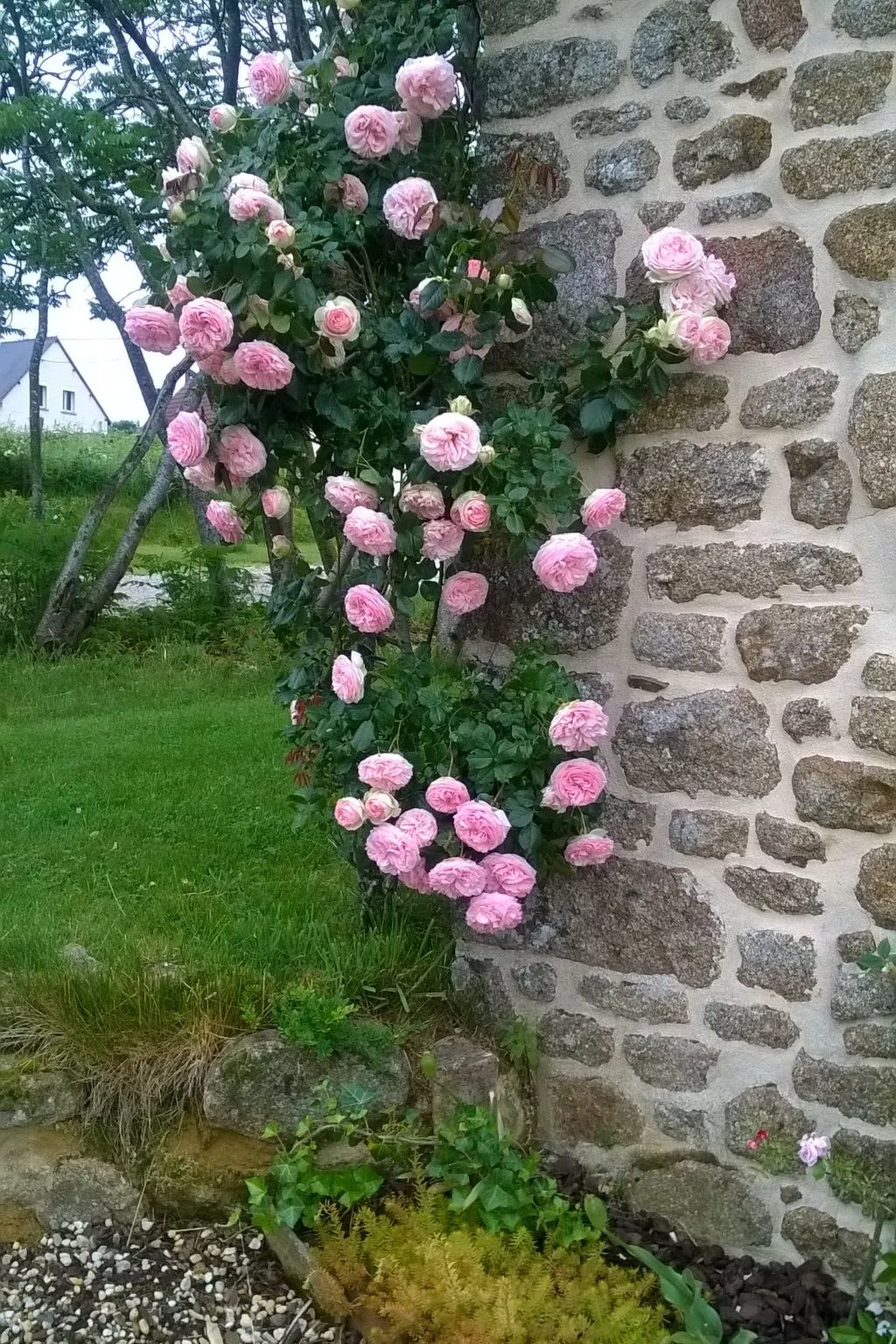 Finca "Motje" mit Aussicht-Buiten