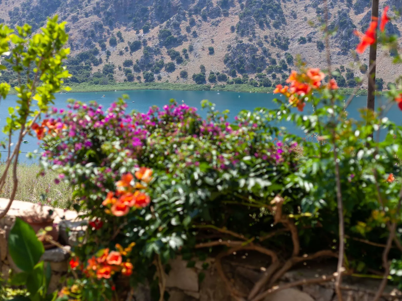 Ein irdisches Paradies-Buiten