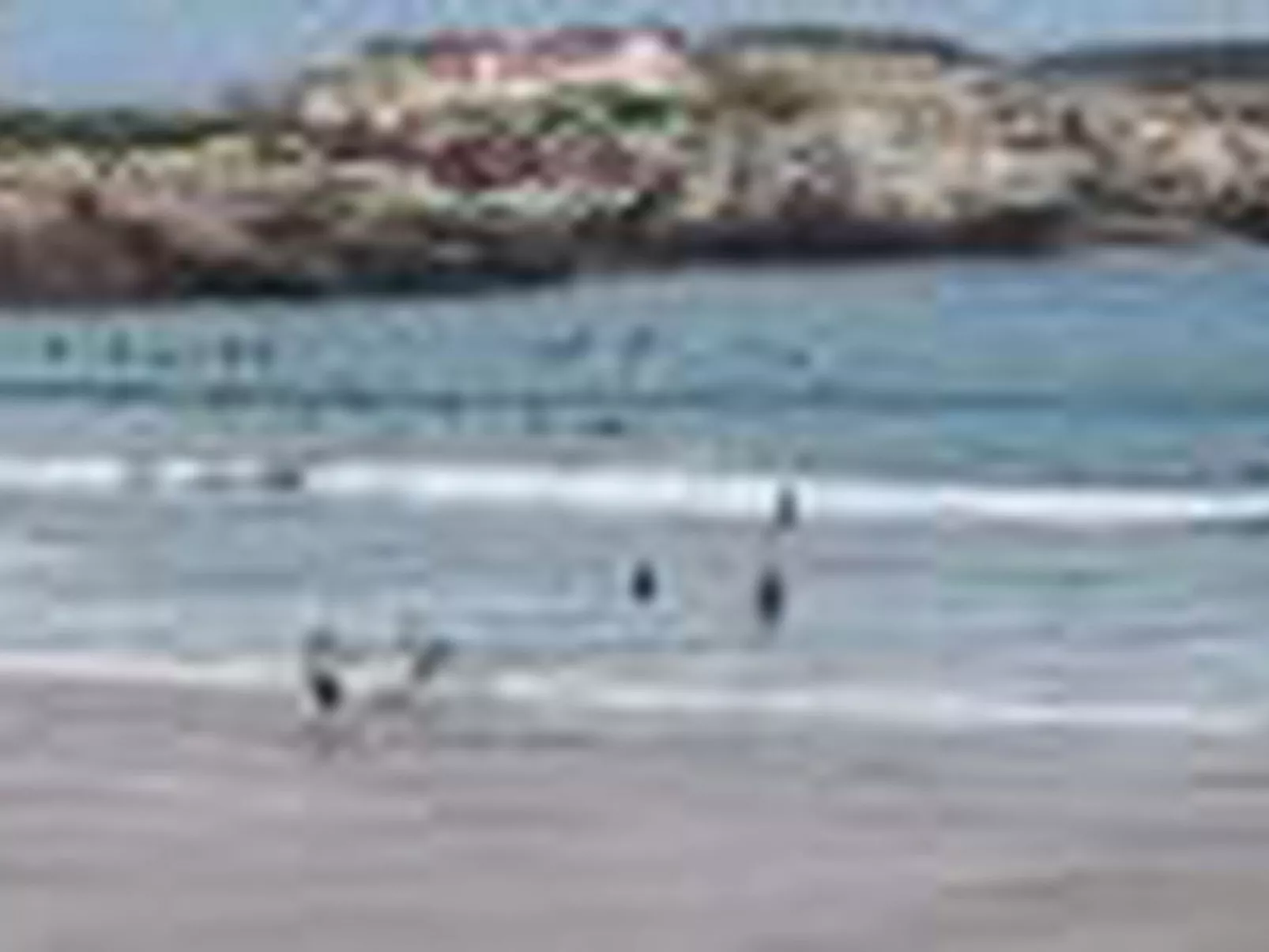 Brandneue Strandwohnung 2-Buiten