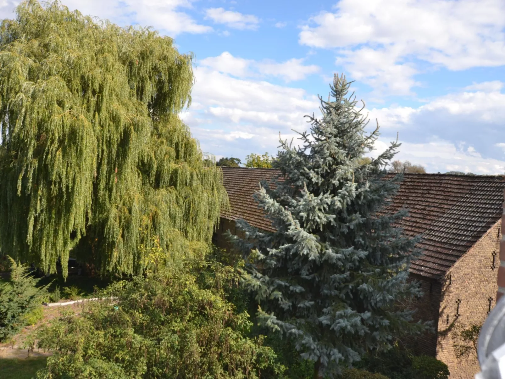 Großzügige Ferienwohnung mit Terrasse-Buiten
