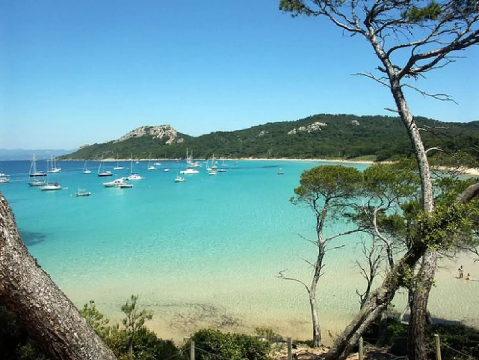 Villa La petite Moujonne in Le Lavandou-Buiten