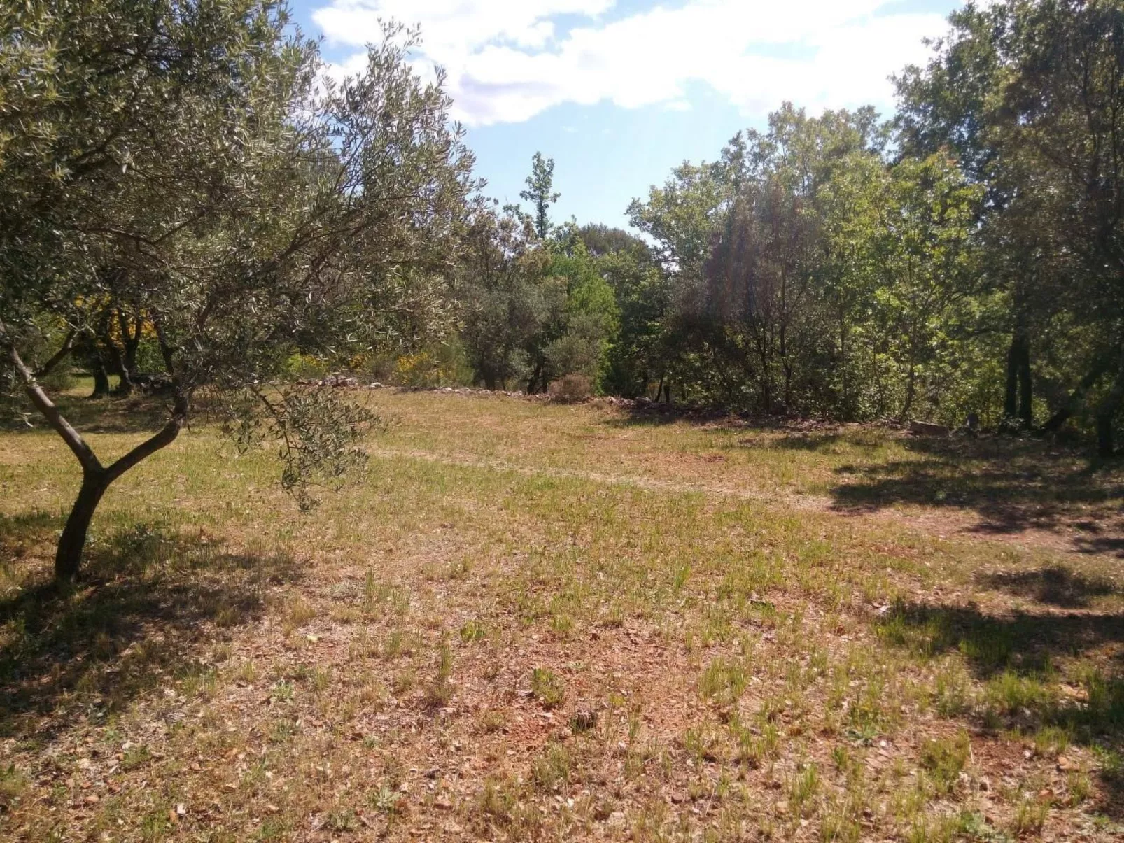 Mit privatem Pool in Cotignac-Buiten