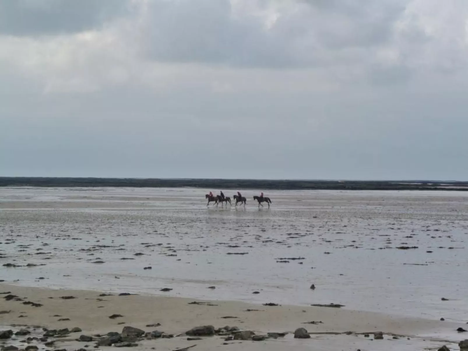 "Gîte de la Sienne"-Image-tags.info