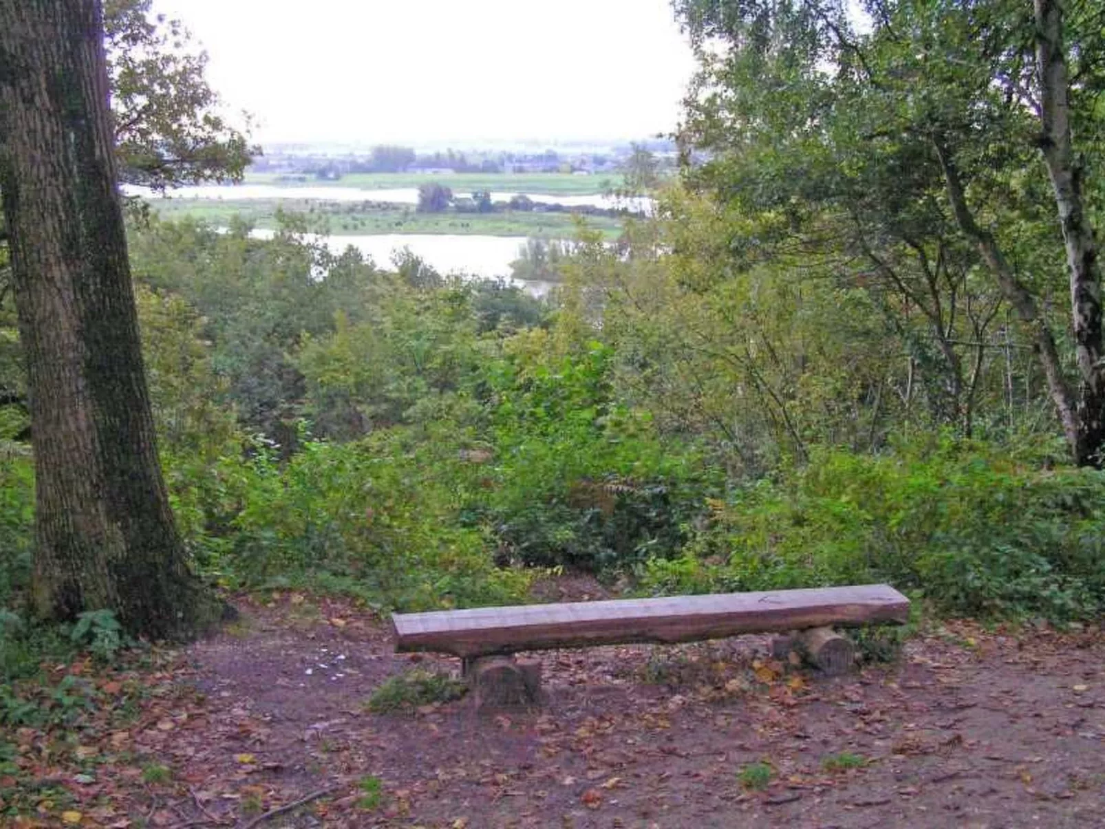 In Rhenen bei Grebbeberg und Wald-Image-tags.info