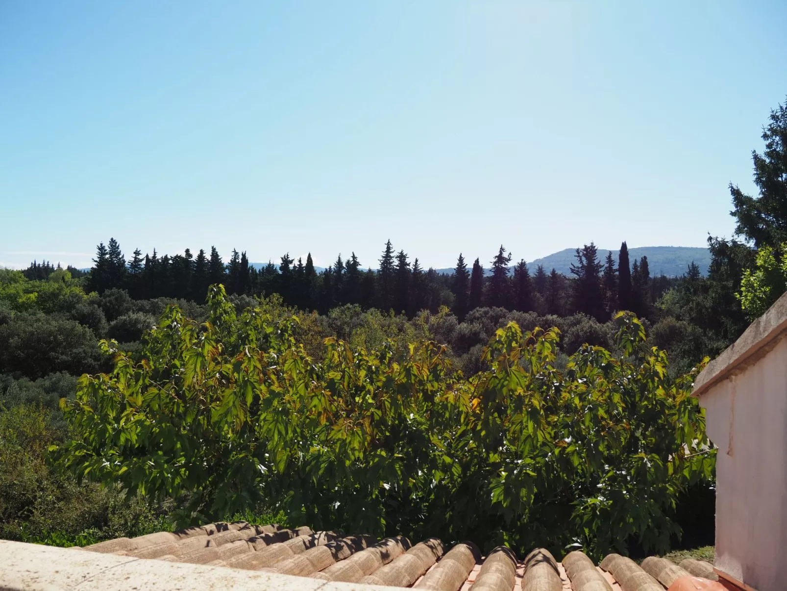 Provenzalisches Haus mit Pool und Garten-Buiten