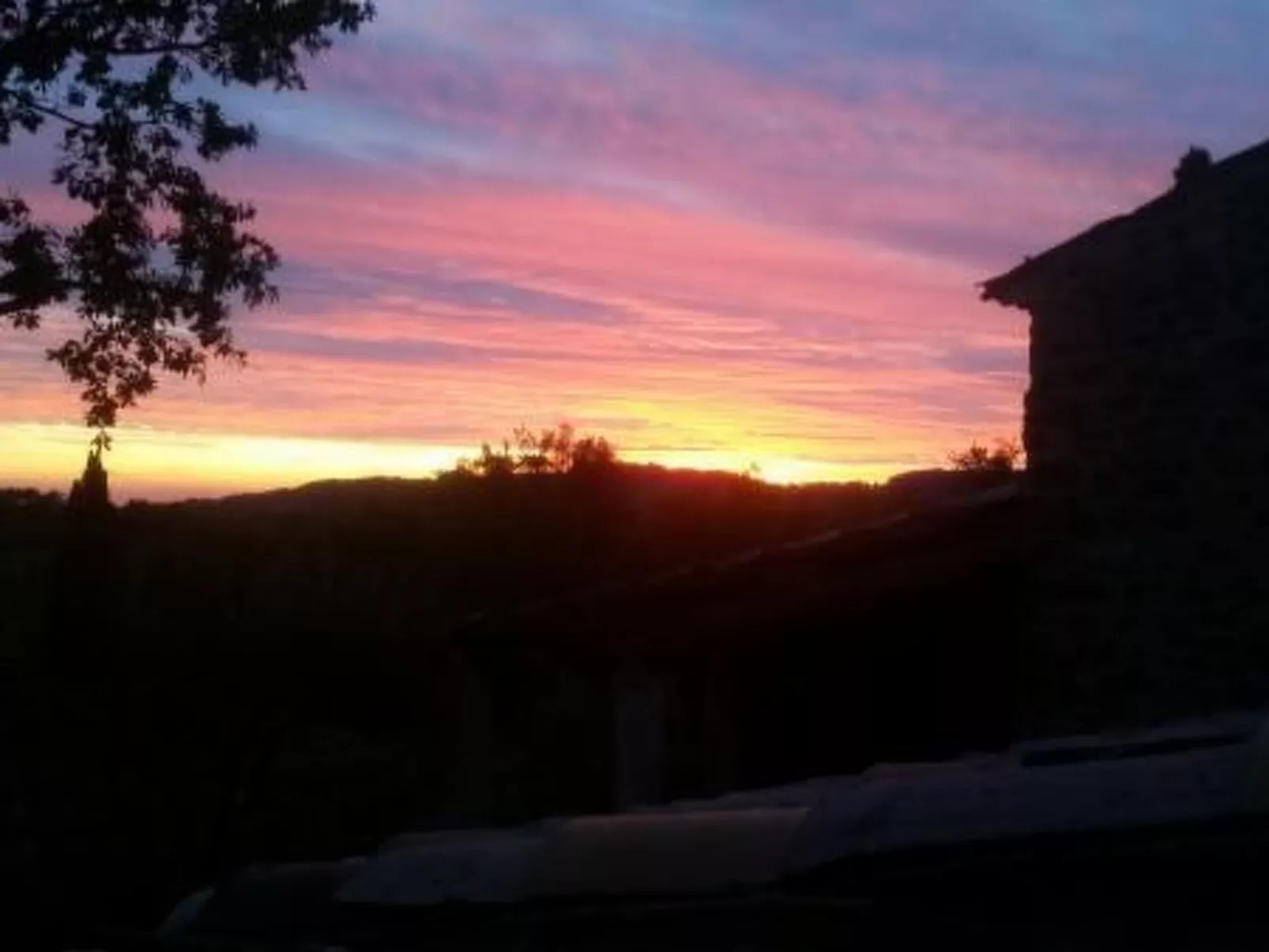 "Haus der Olivenbäume"-Buiten