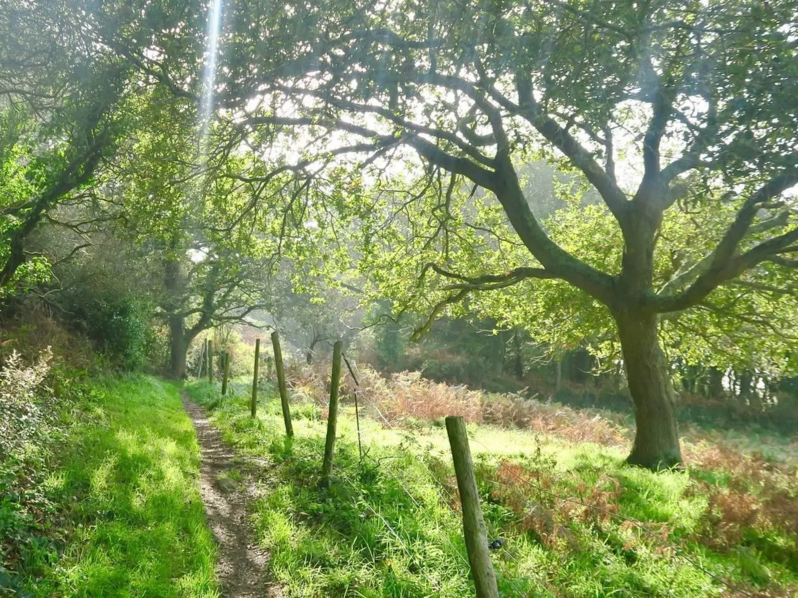 Gîte de Kerberso in Pléhédel-Buiten