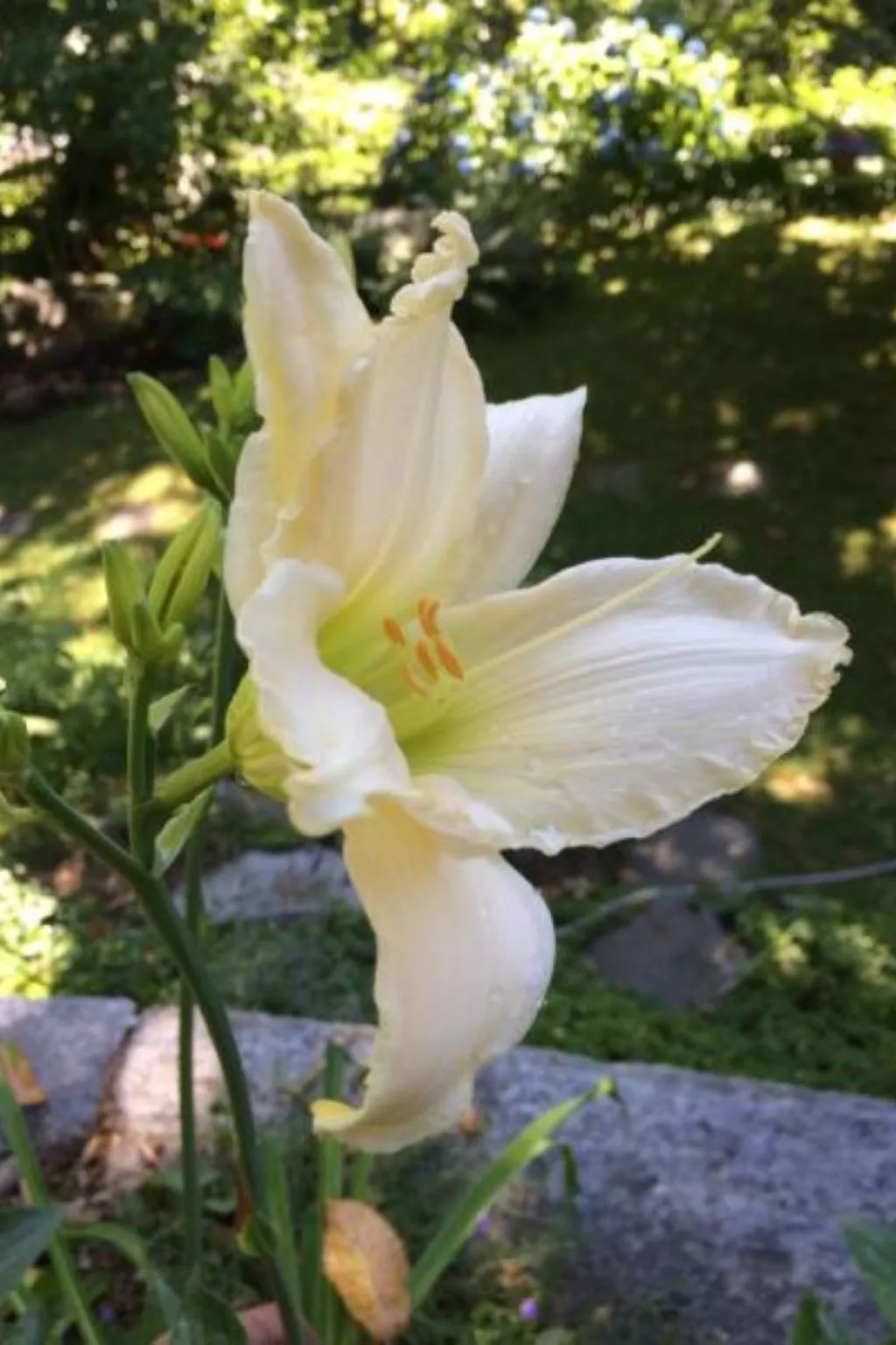 Weg von der Zuvielisation-Image-tags.info