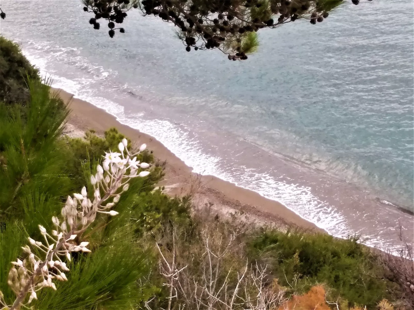 Wohnung mit Gartenblick, Kreta, Ierapetra-Buiten