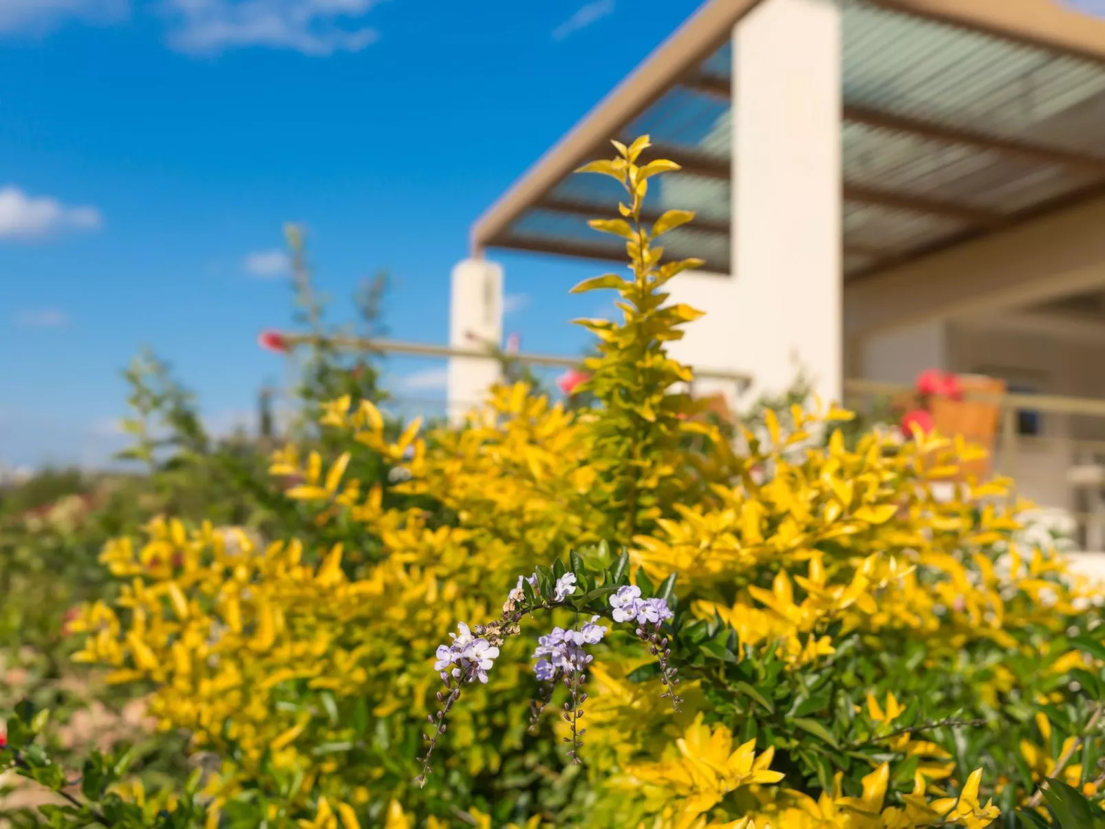 Ferienvilla auf einem privaten und sicheren Grundstück-Buiten