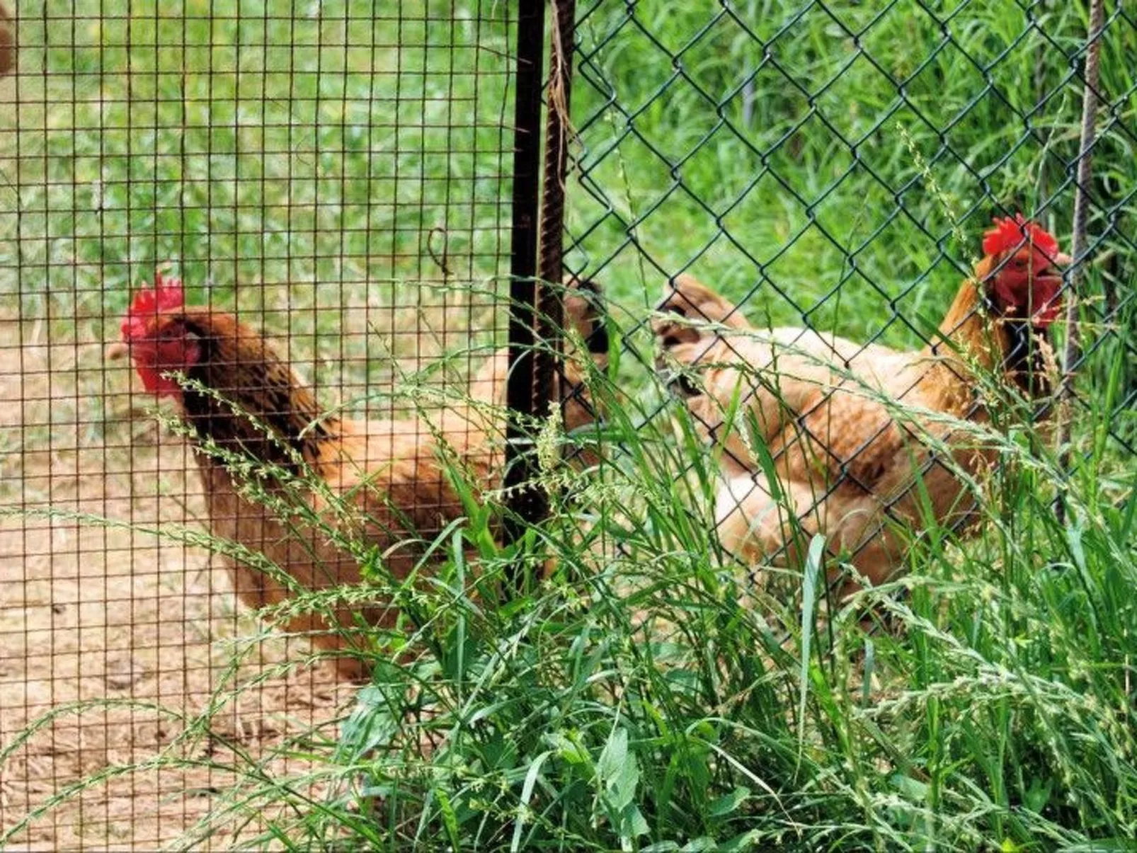 Frühling Wohnung-Binnen