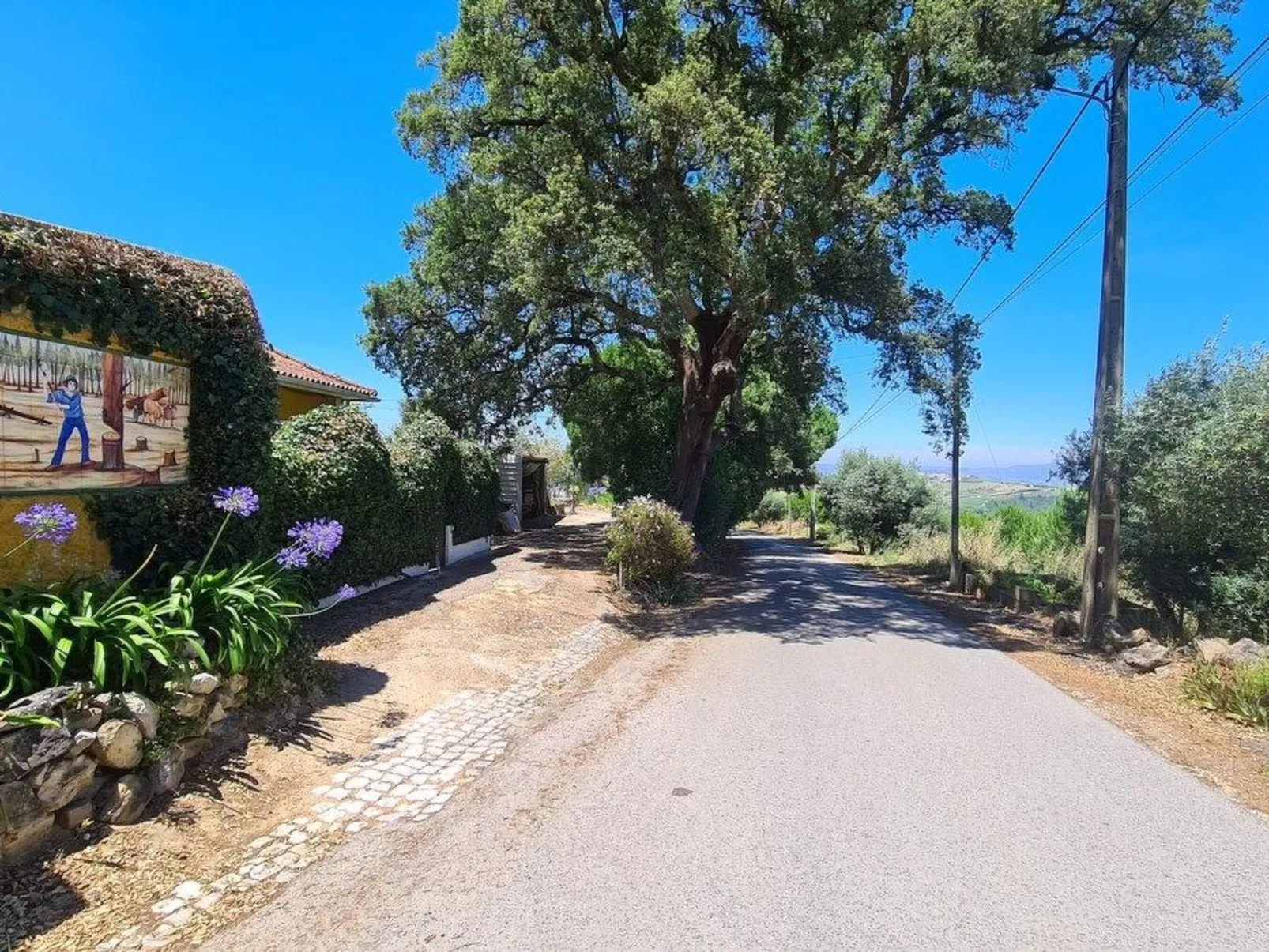 Haus in einem Bauernhof zwischen Weinbergen 2-Image-tags.info