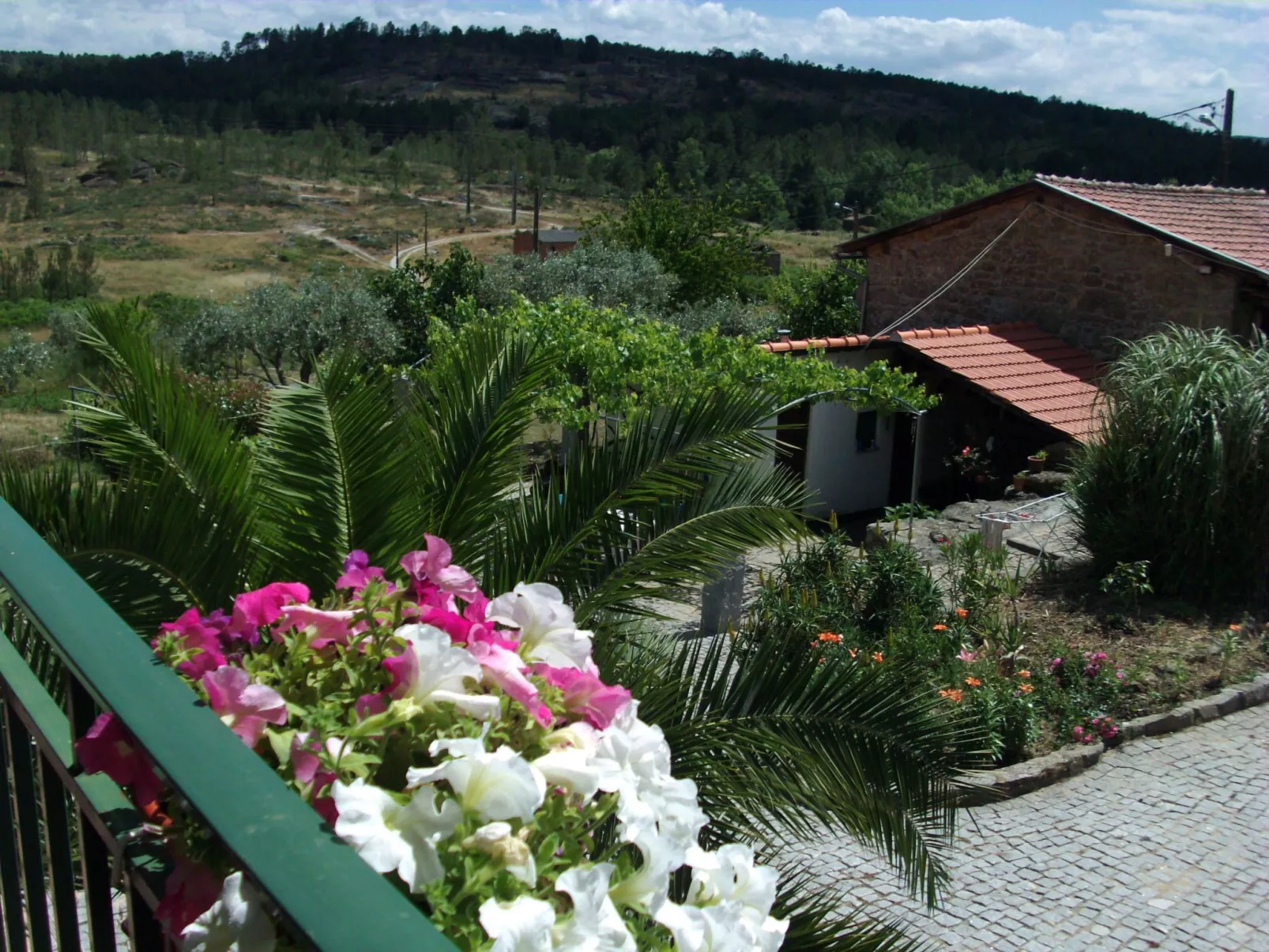Ferien auf dem Bauernhof mit Weinberg-Buiten