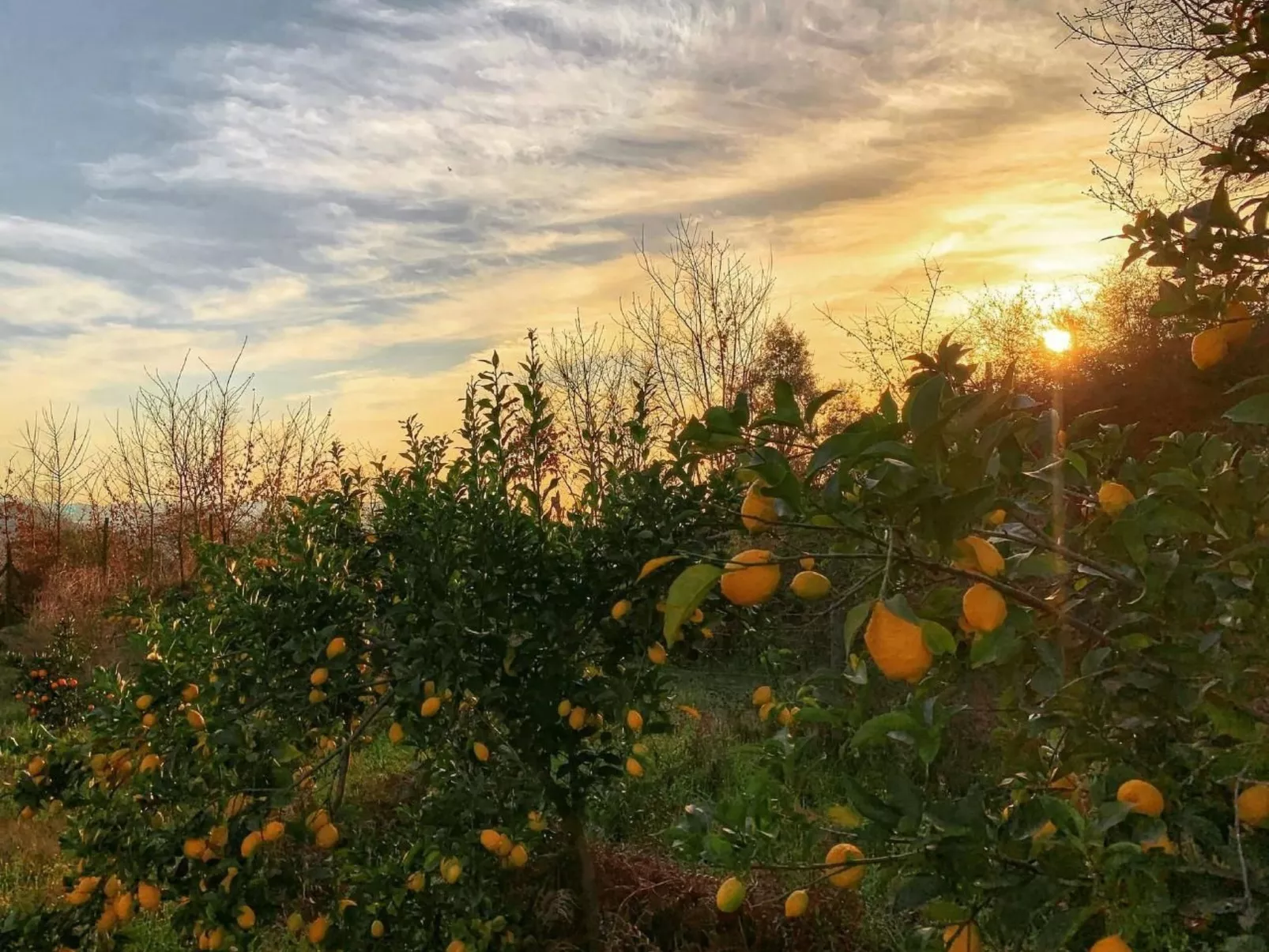 Mit Blick auf das Wasser-Buiten