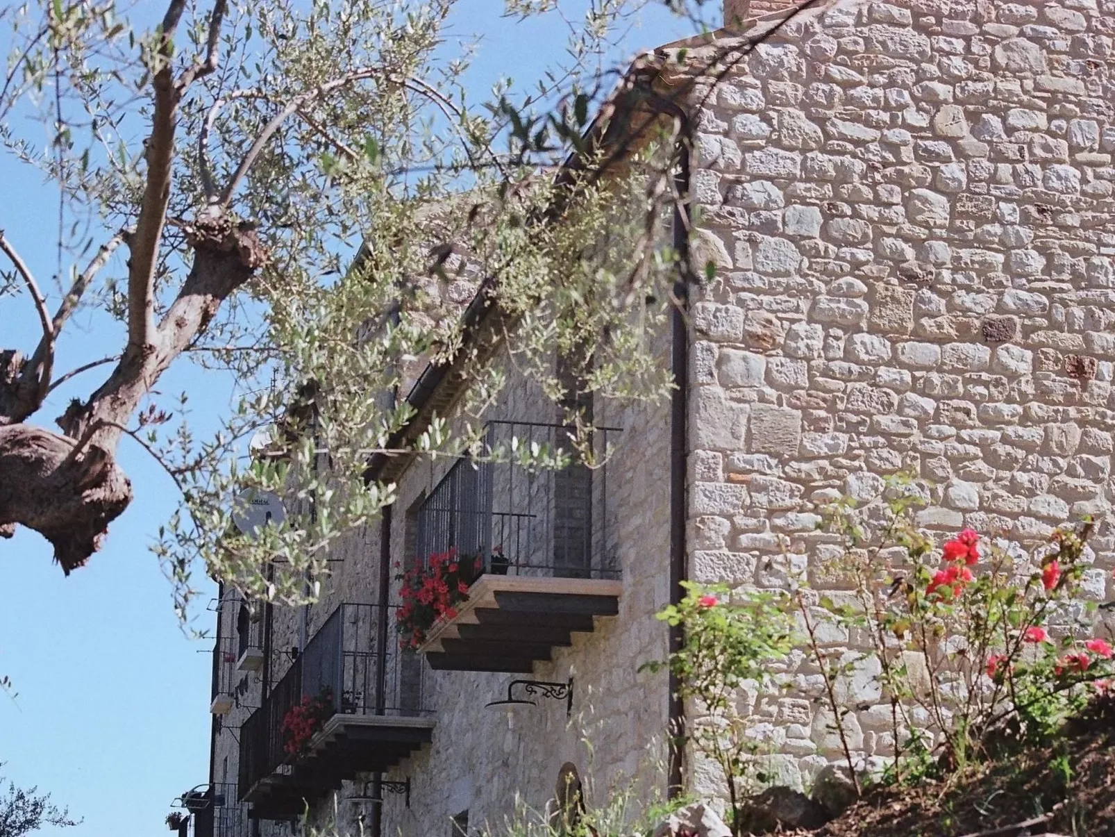 Das Maulbeerbaum-Apartment-Buiten