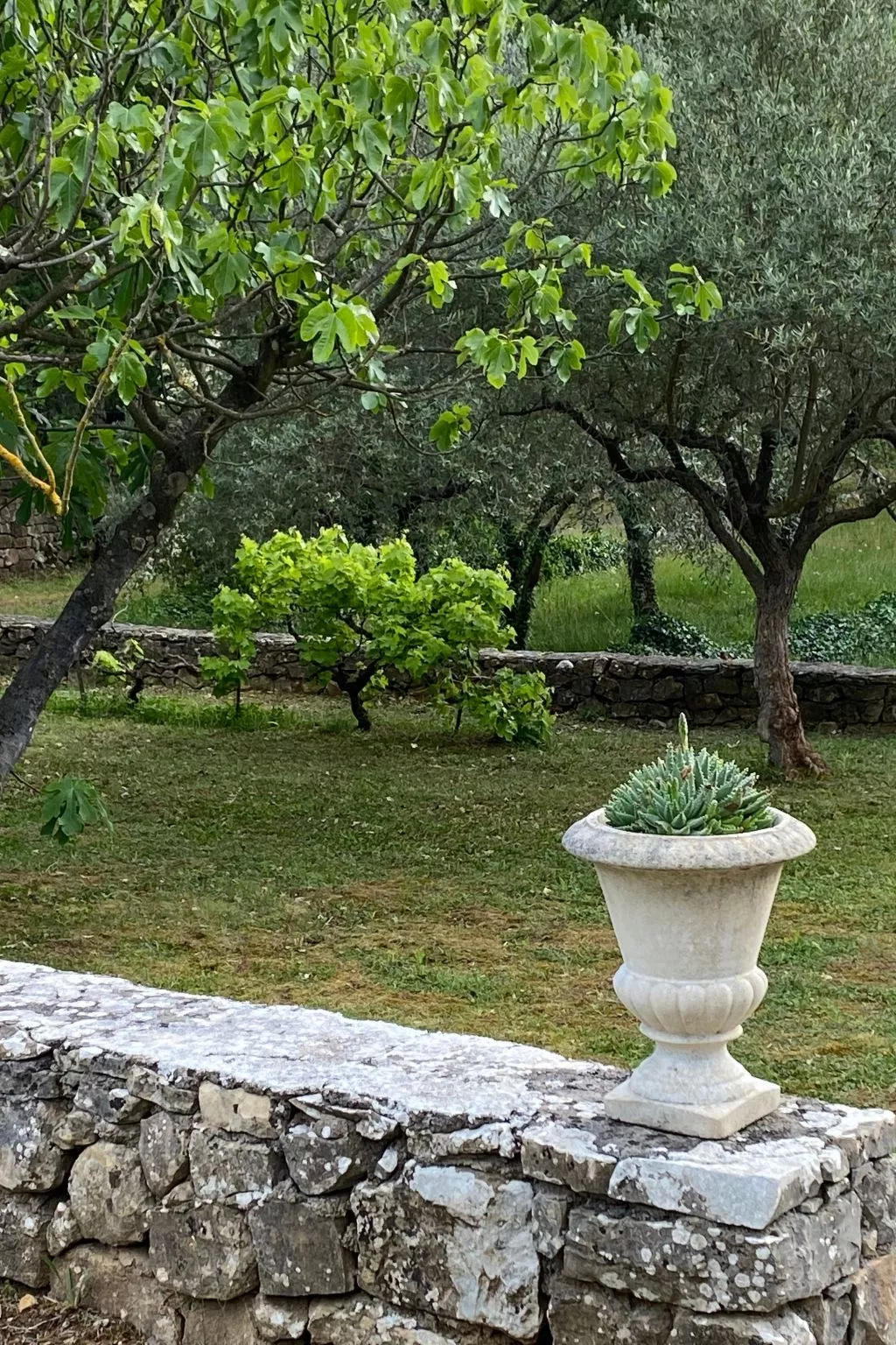 Klimatisiertes Mas Les Heures Bleues mit Pool - Buiten