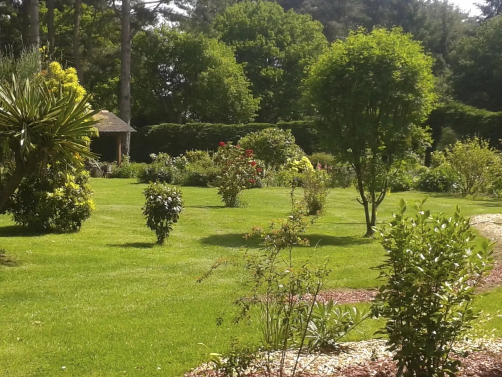 Chalet "gite du bois d'amour" (Hütte des Liebesh-Buiten