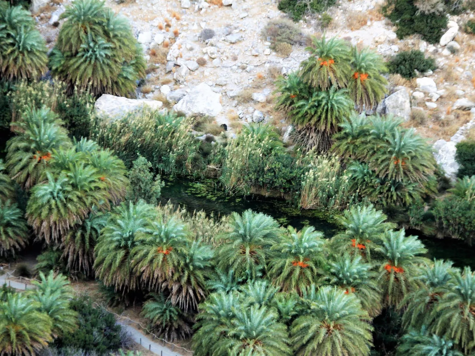 "Villa Faye" direkt am Strand-Buiten