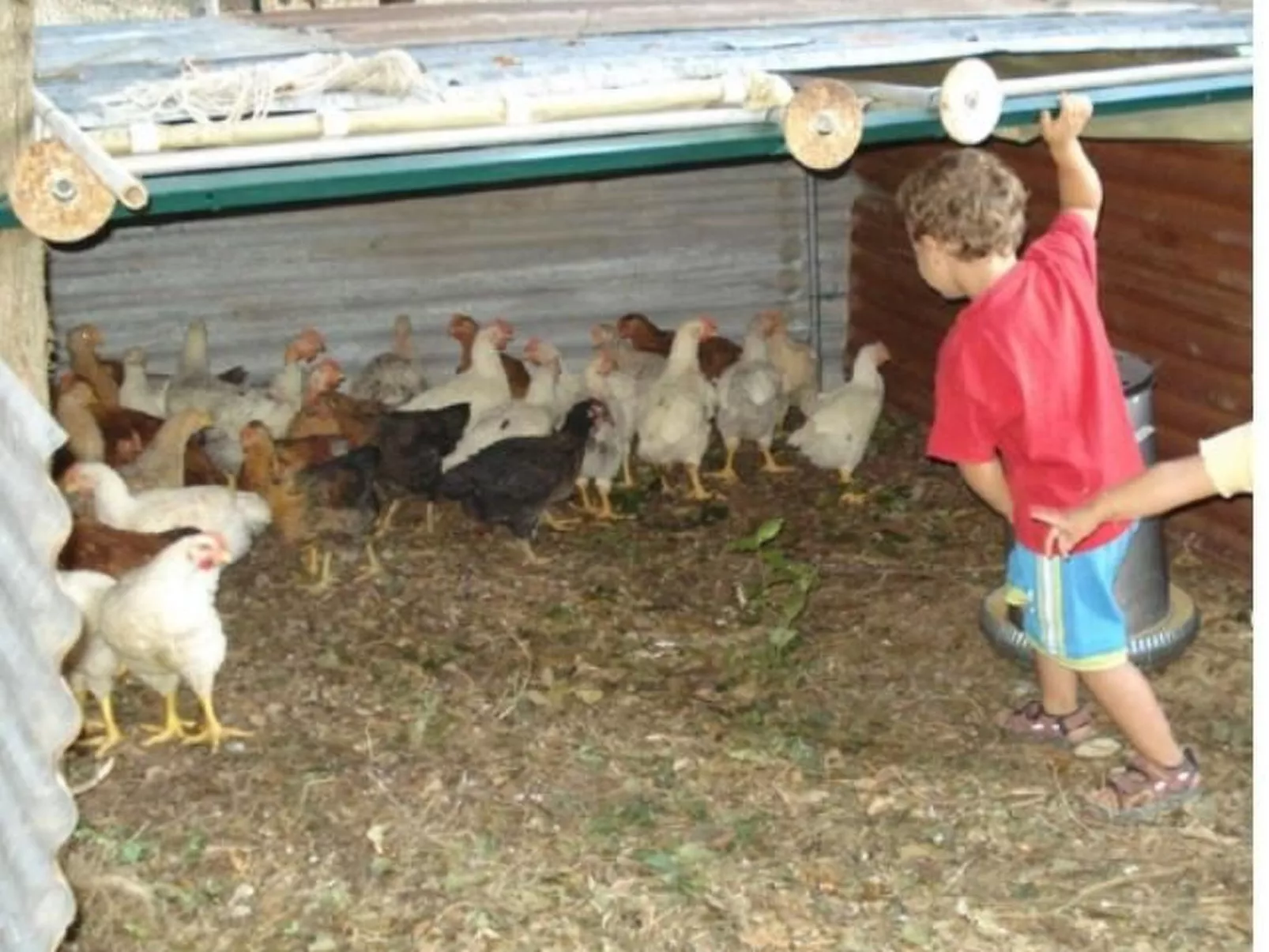 Agritourismus Vigne di Pace-Image-tags.info