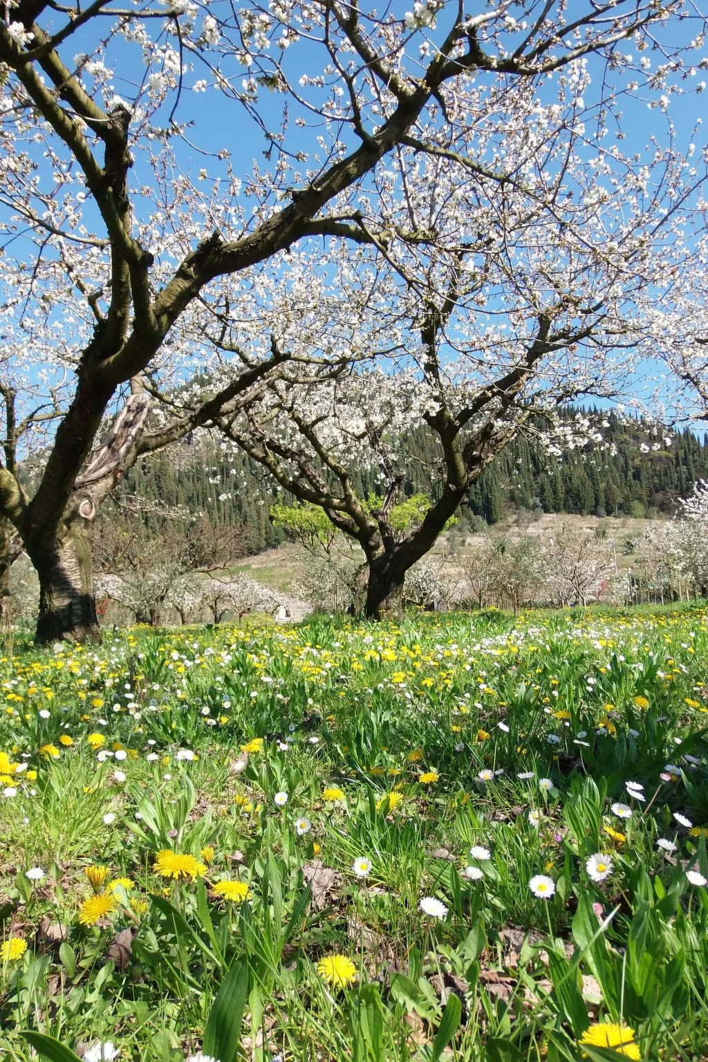 Anwesen mit Garten, Grill und Terrasse-Buiten
