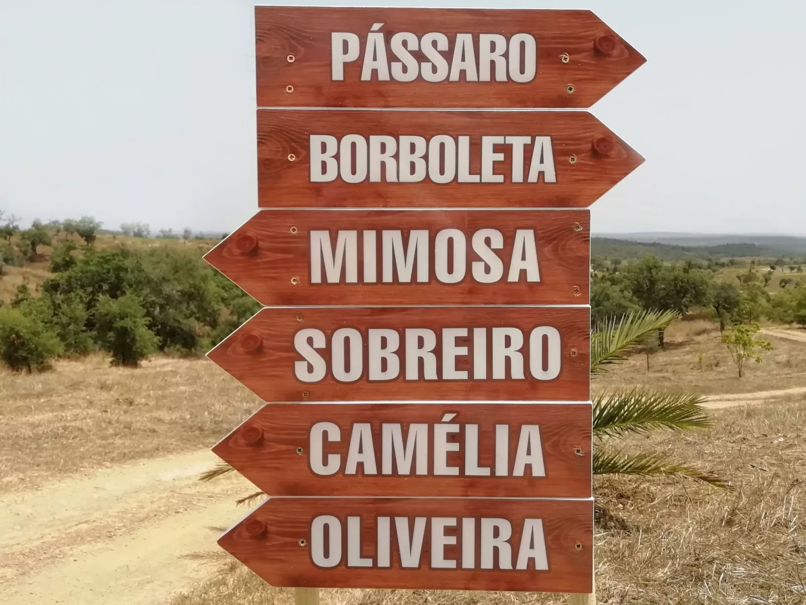 Monte Horizonte Casa Passaro Öko und Natur-Buiten