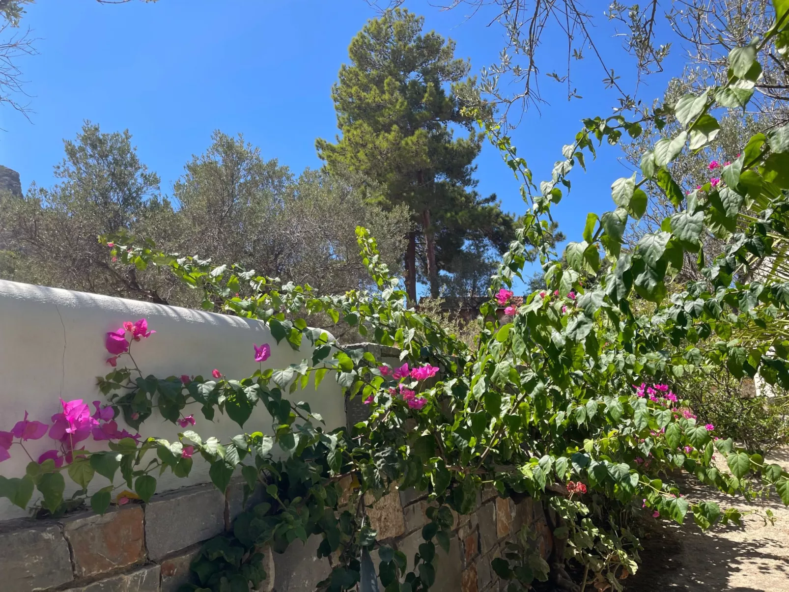 Nefeli Blue Villa in altem Olivenhain, Meerblick-Buiten