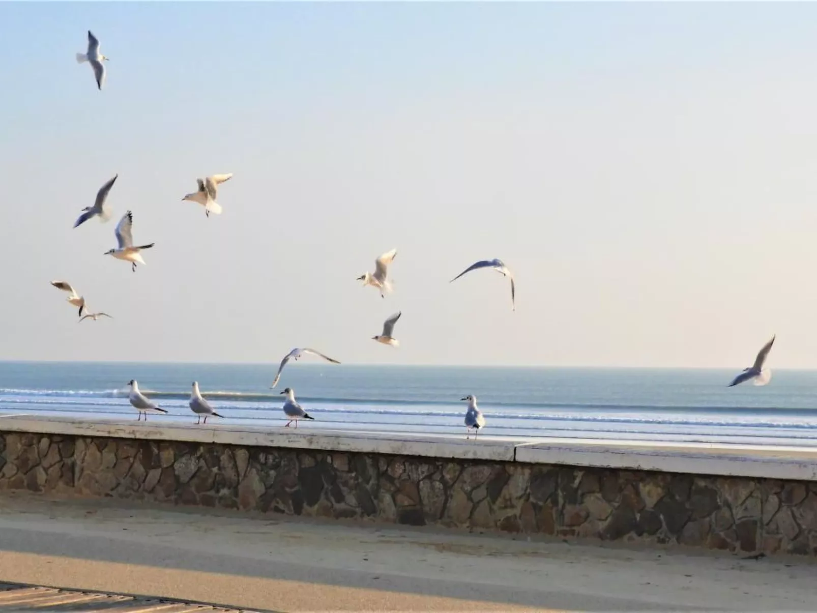 Standort mobiles Haus 3 chambres-Image-tags.info