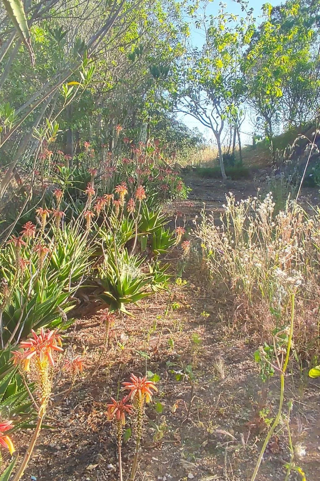 Mit Pool und 5 Schlafzimmern für 10 Personen.-Image-tags.info