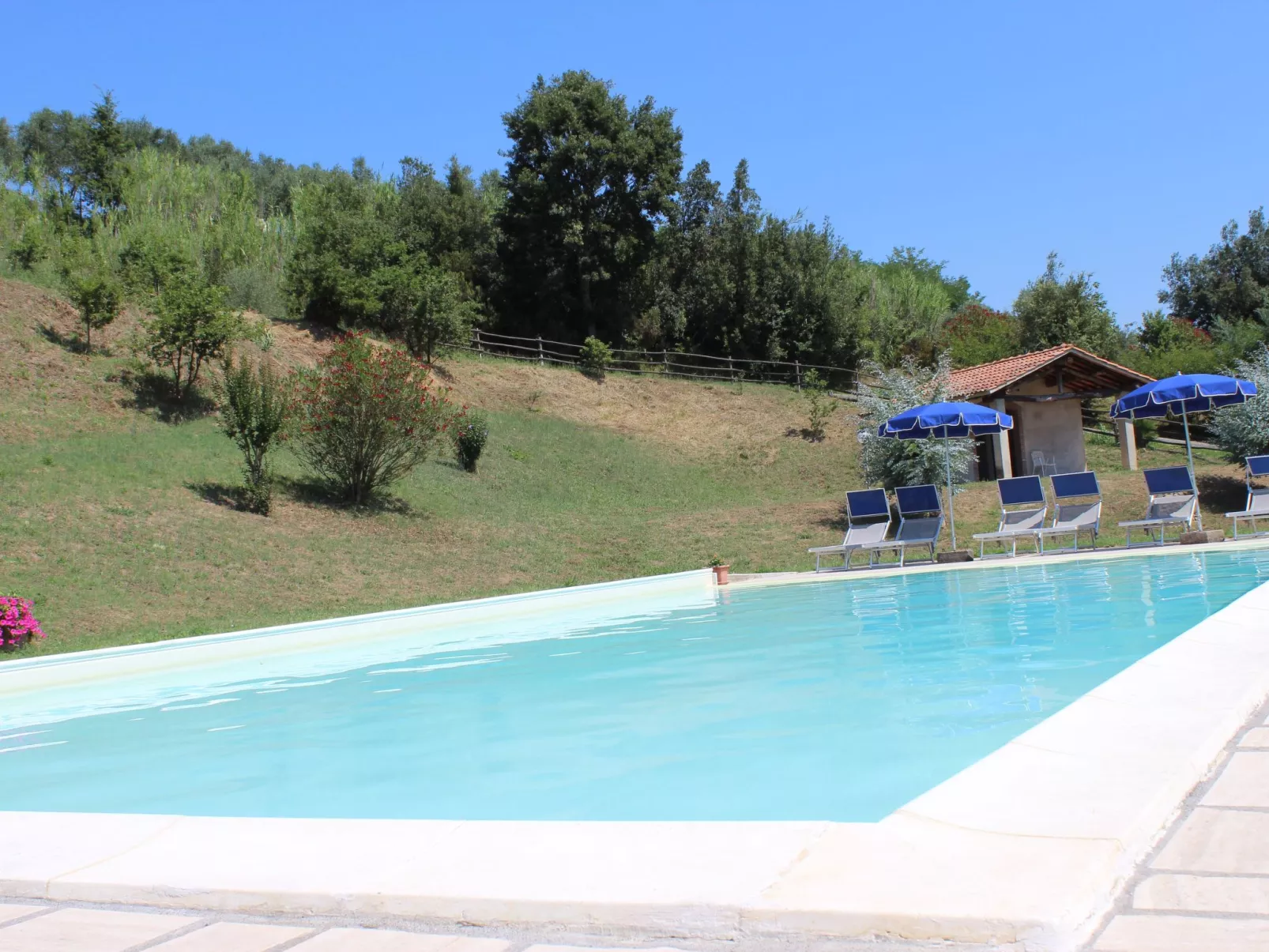 Girasole Haus mit Pool in Fauglia-Buiten