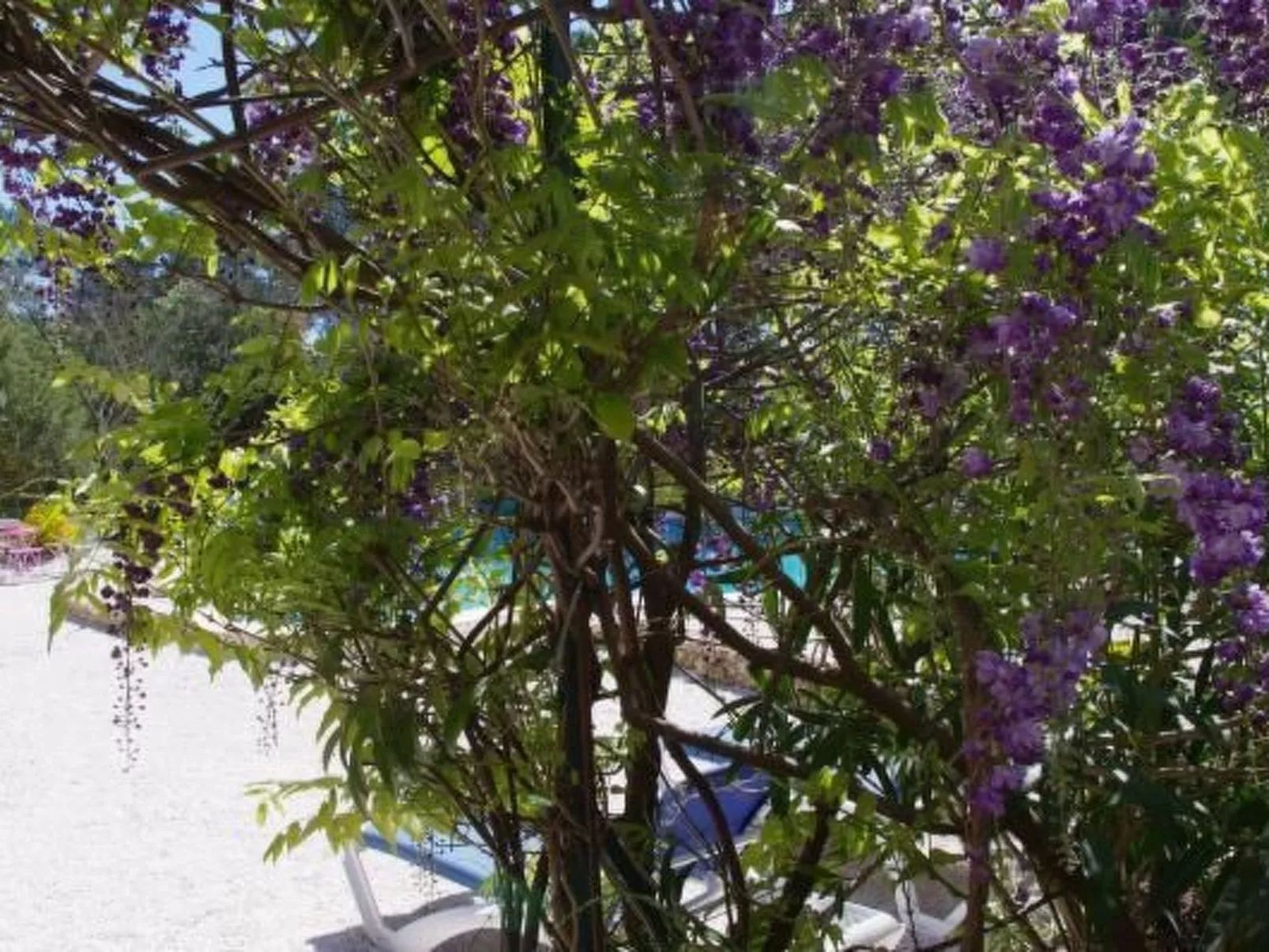 "Cigale" mit Pool-Buiten