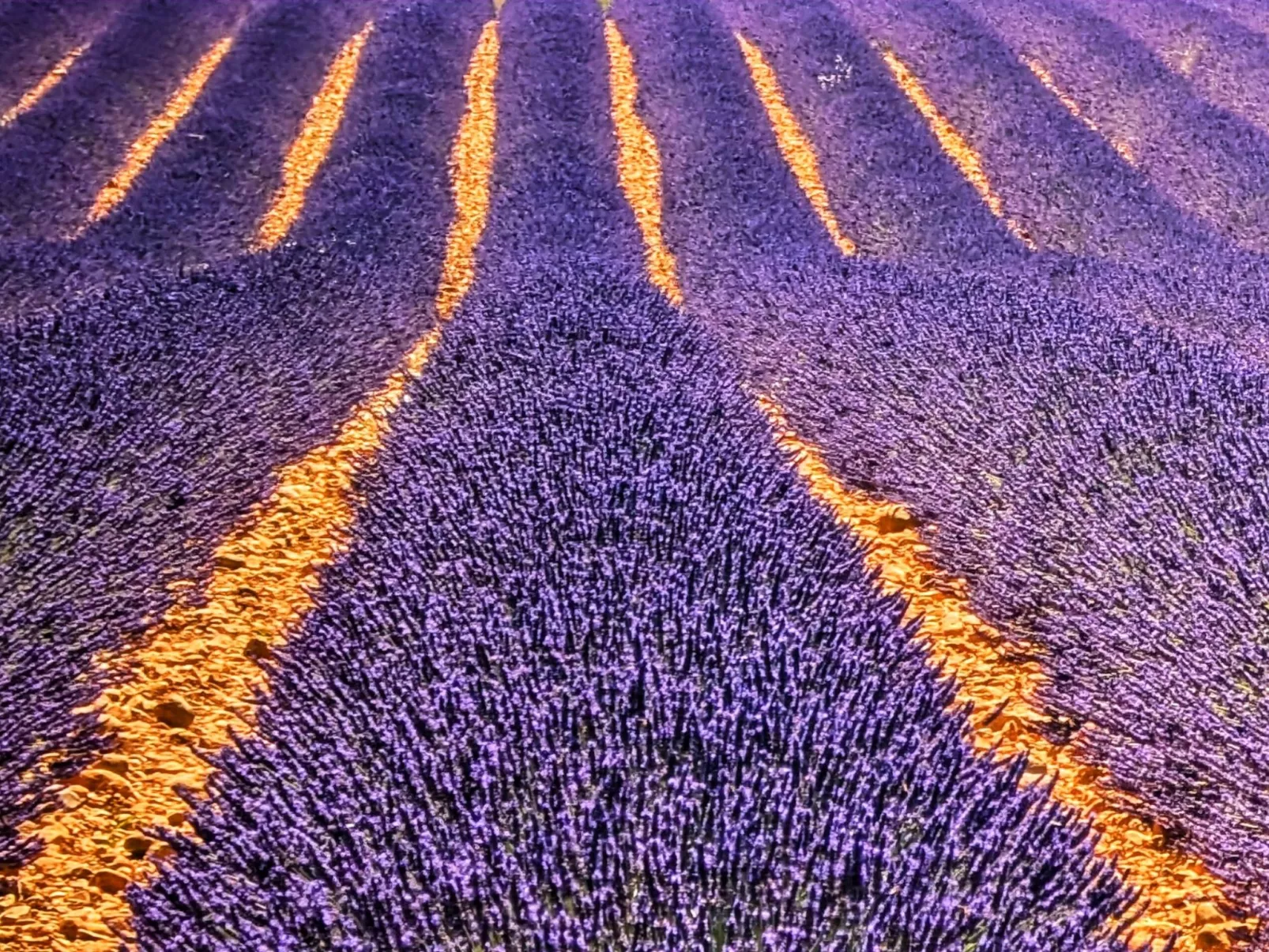 Mobilheim an der Cote d'Azur-Buiten