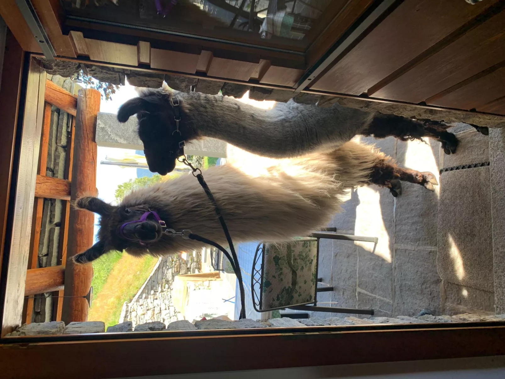 Cà du Papa 2-Buiten